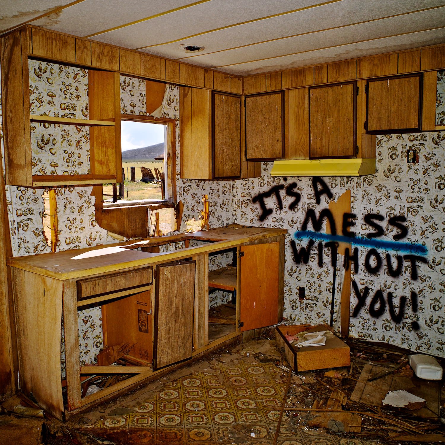 Osceola Refetoff, It's a Mess Without You!- Cinco, California - 2011