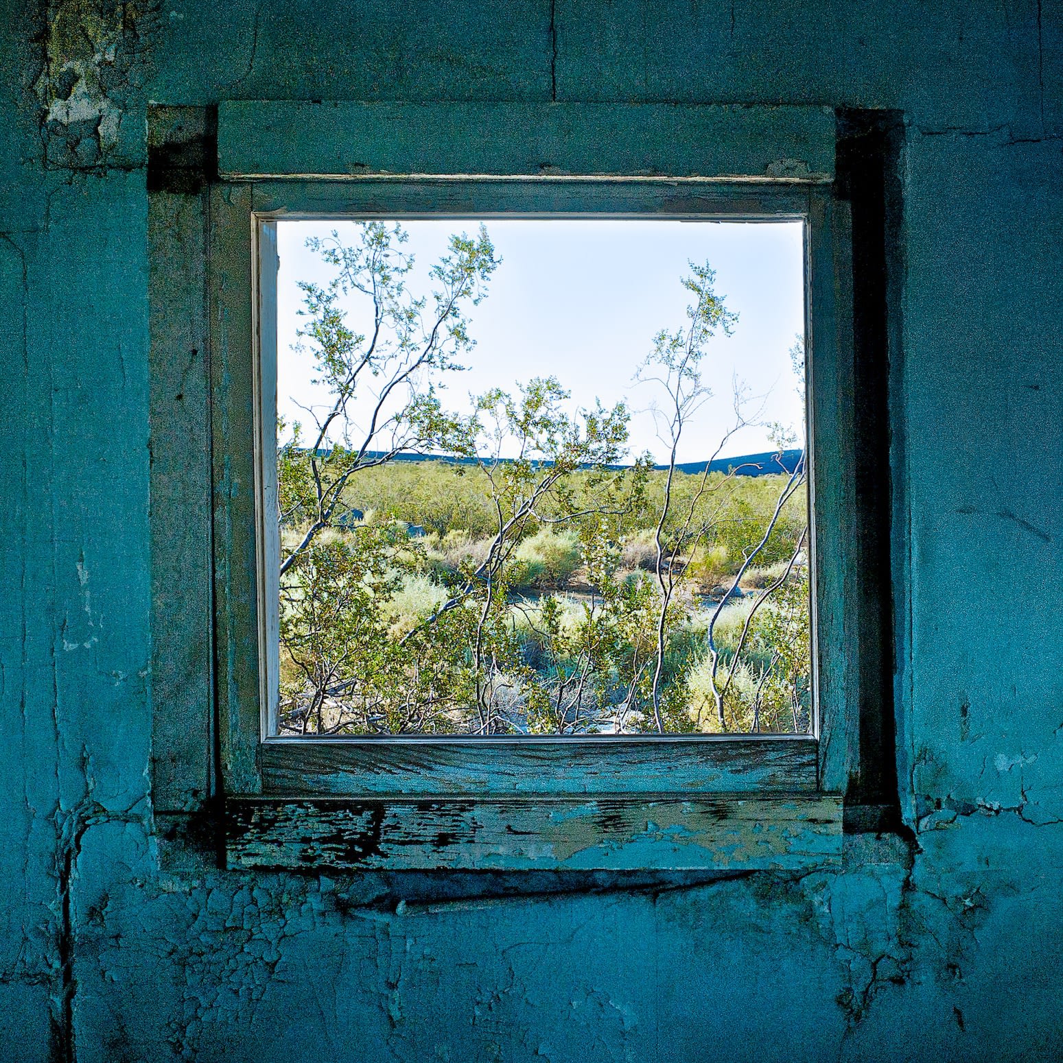 Osceola Refetoff, Window with Creosote Bush - Dunmovin, California - 2010