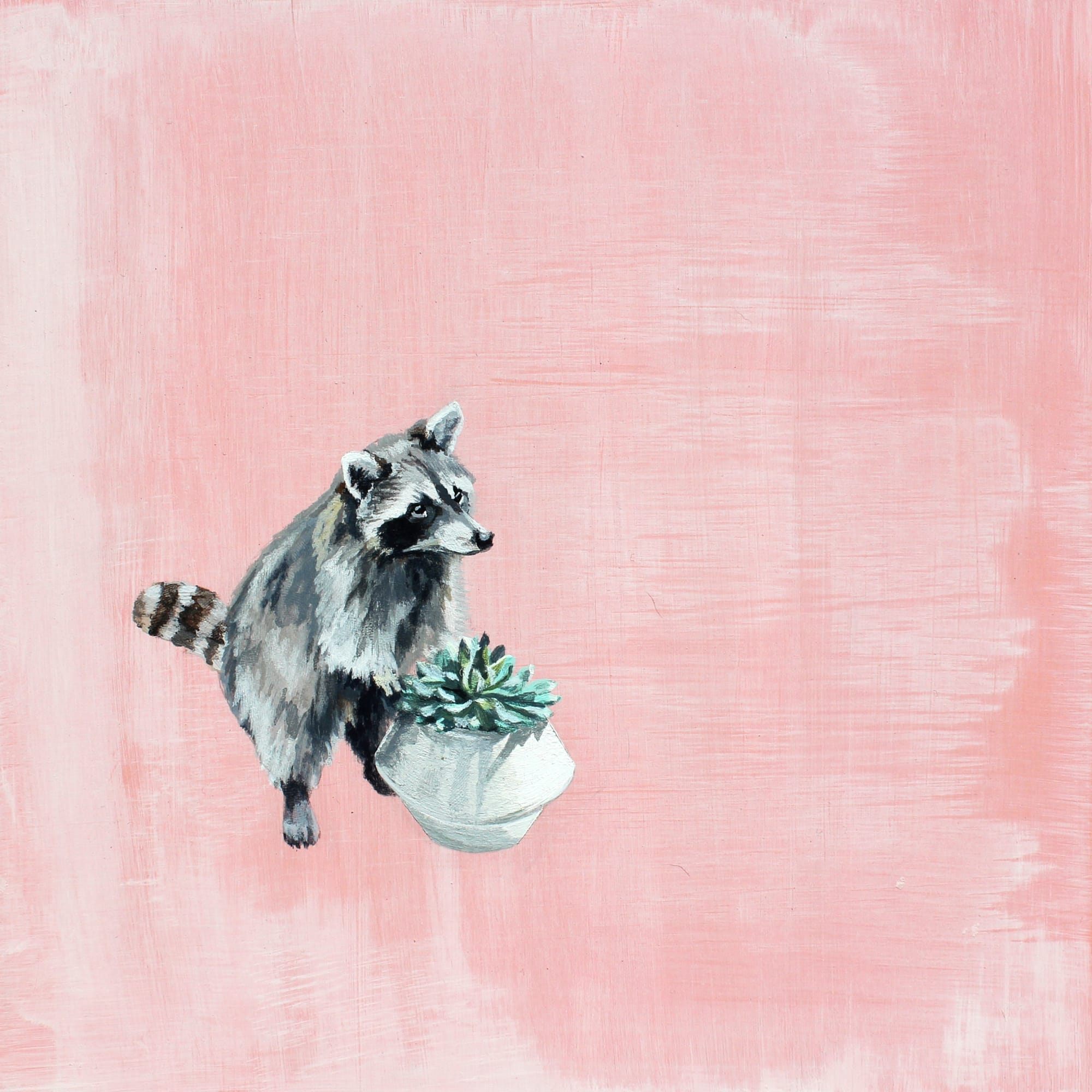 Holly Elander, Raccoon 1 - 2018