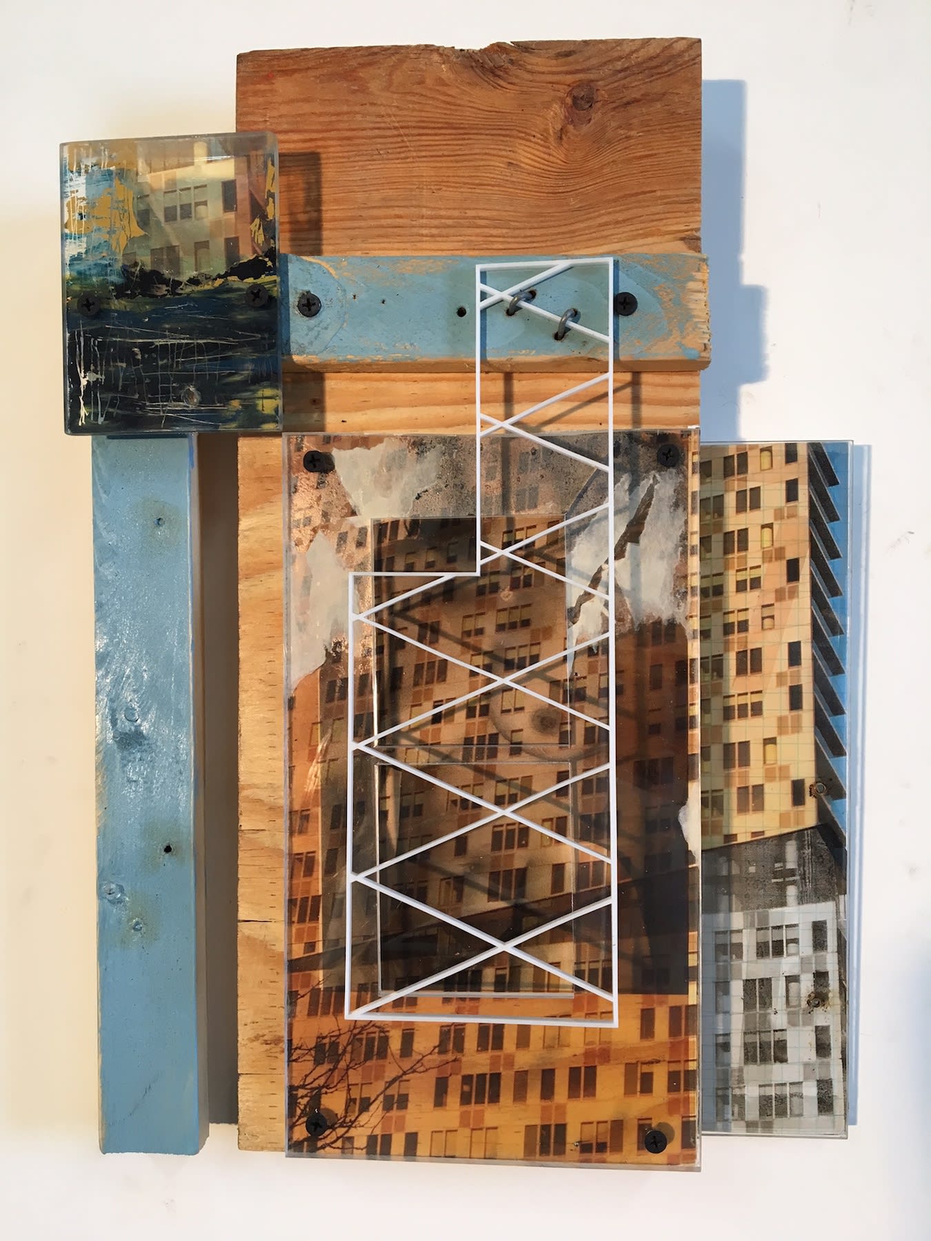Susan Feldman, Piqued - 2017