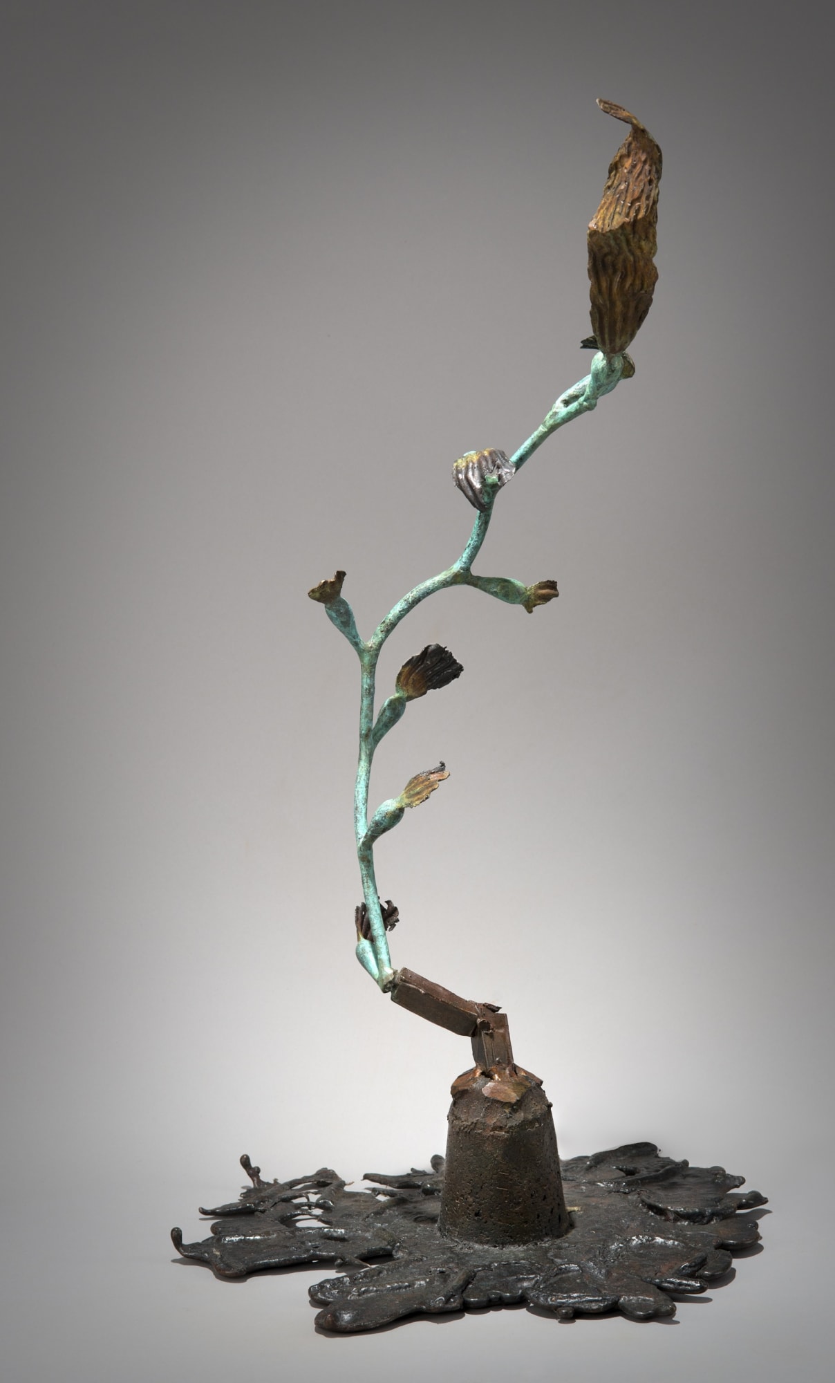 Colleen M Kelly, The Persistence of Growth, II - 2015