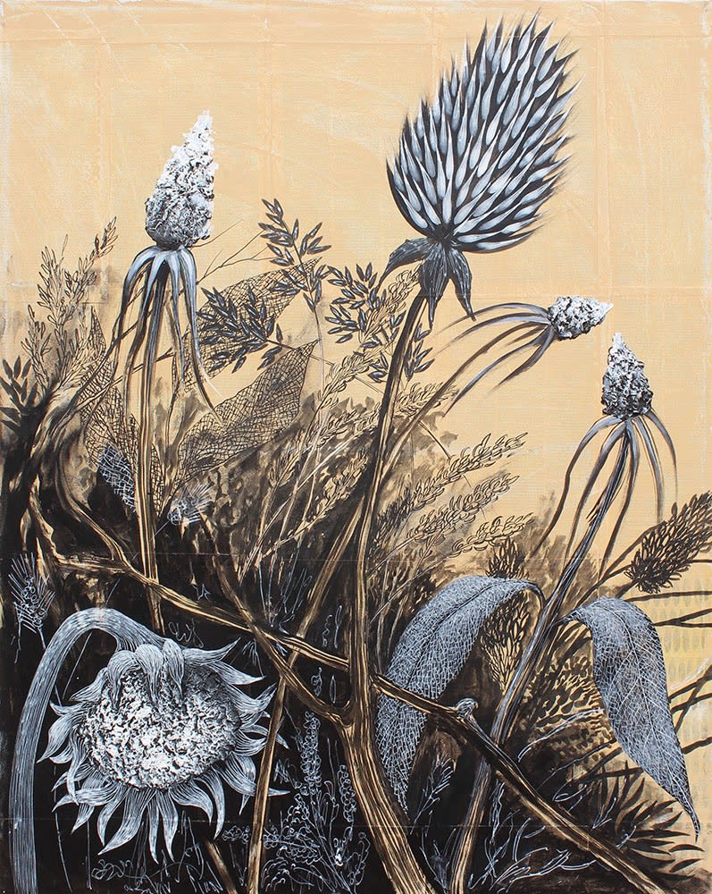 Vojislav Radovanovic, Weed always flourish 01- 2017