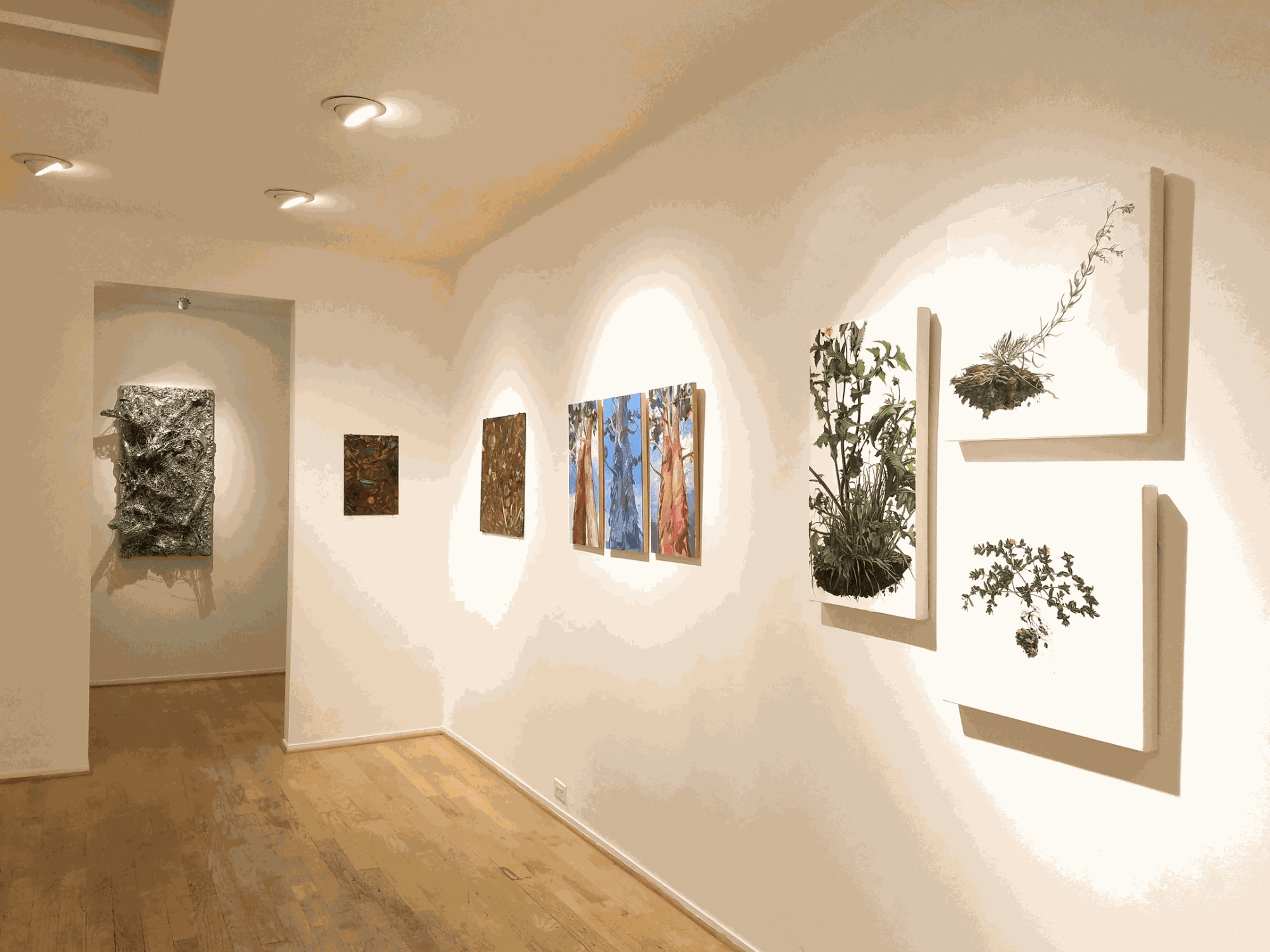 The Reality of Nature