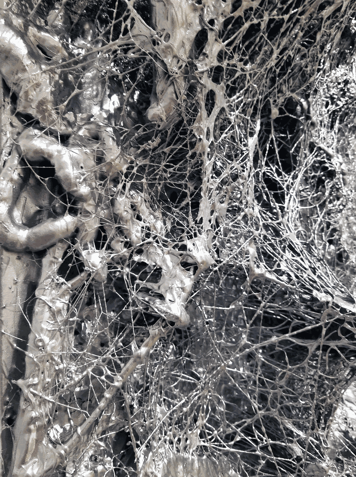 The Reality of Nature