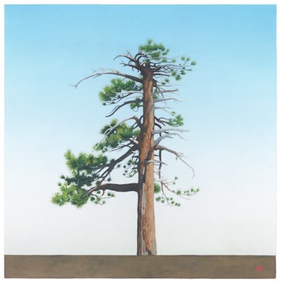 Greg Rose, Waterman Tree (N34*20.193 + W117*56.124) - 2014