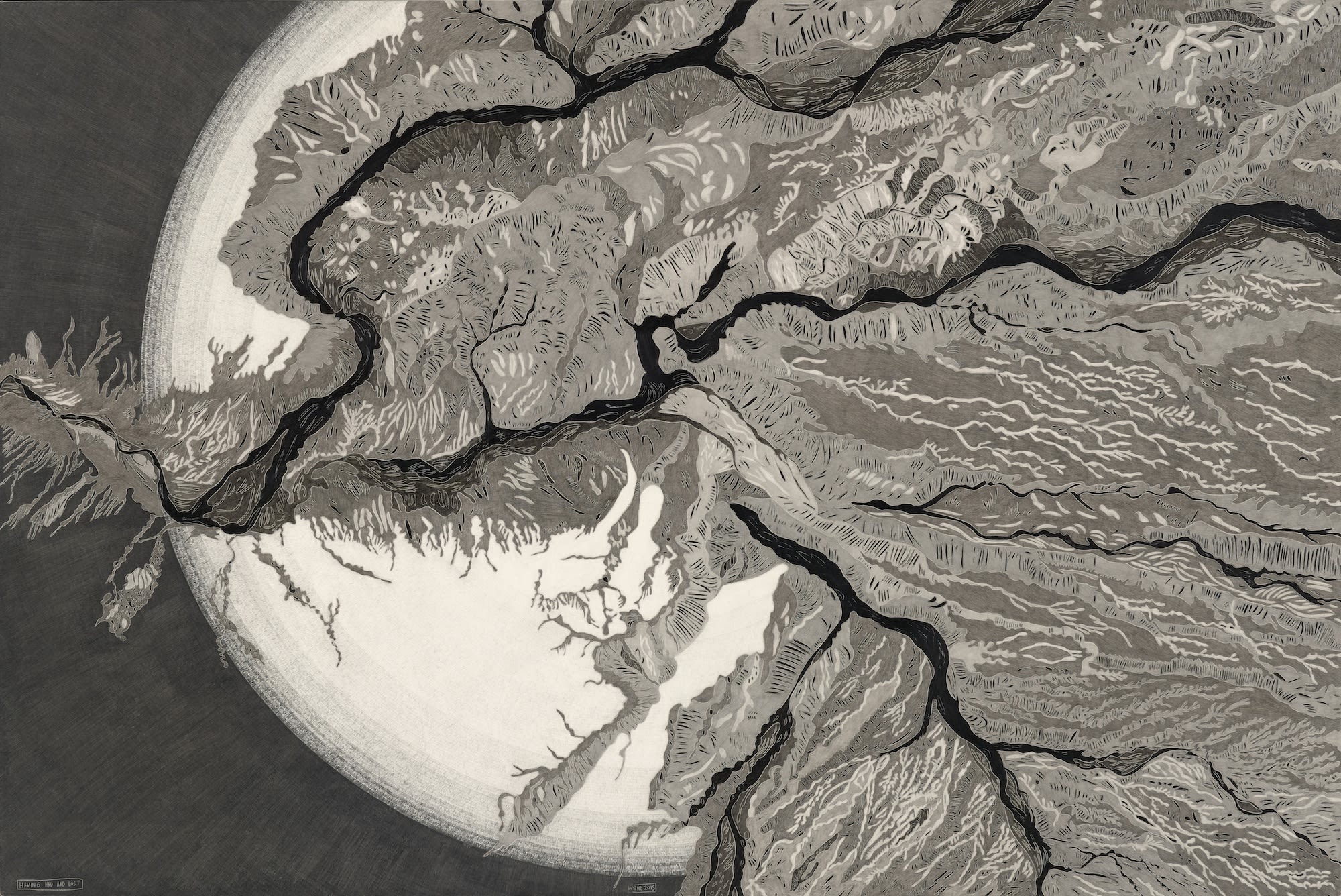 Christine Weir, Having Had and Lost - 2017