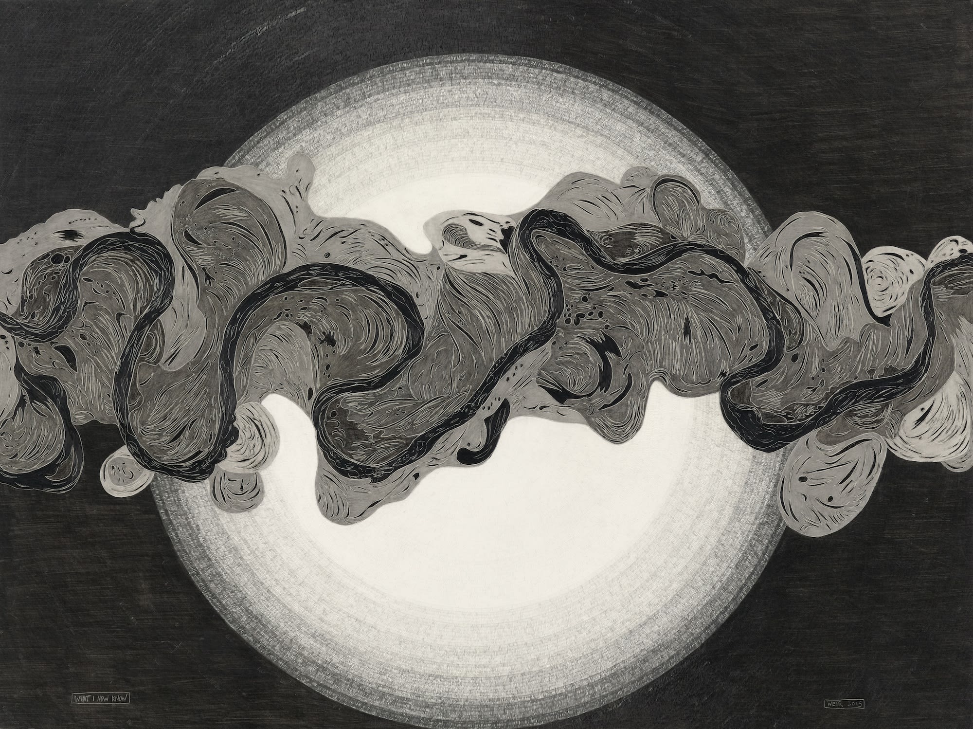 Christine Weir, What I Now Know - 2017