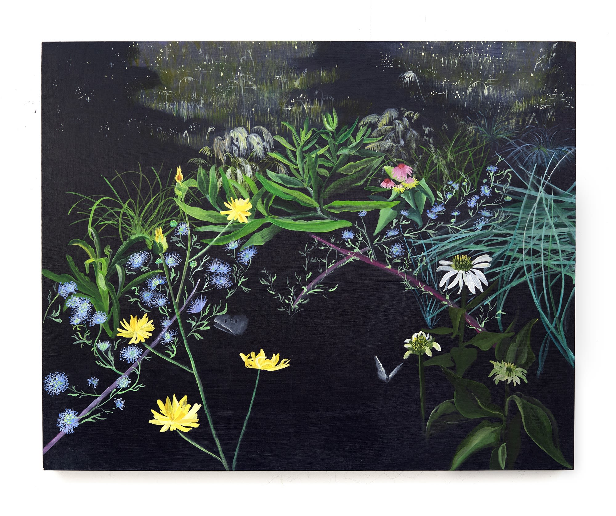 Deena Capparelli Place of Scarcity, 2021