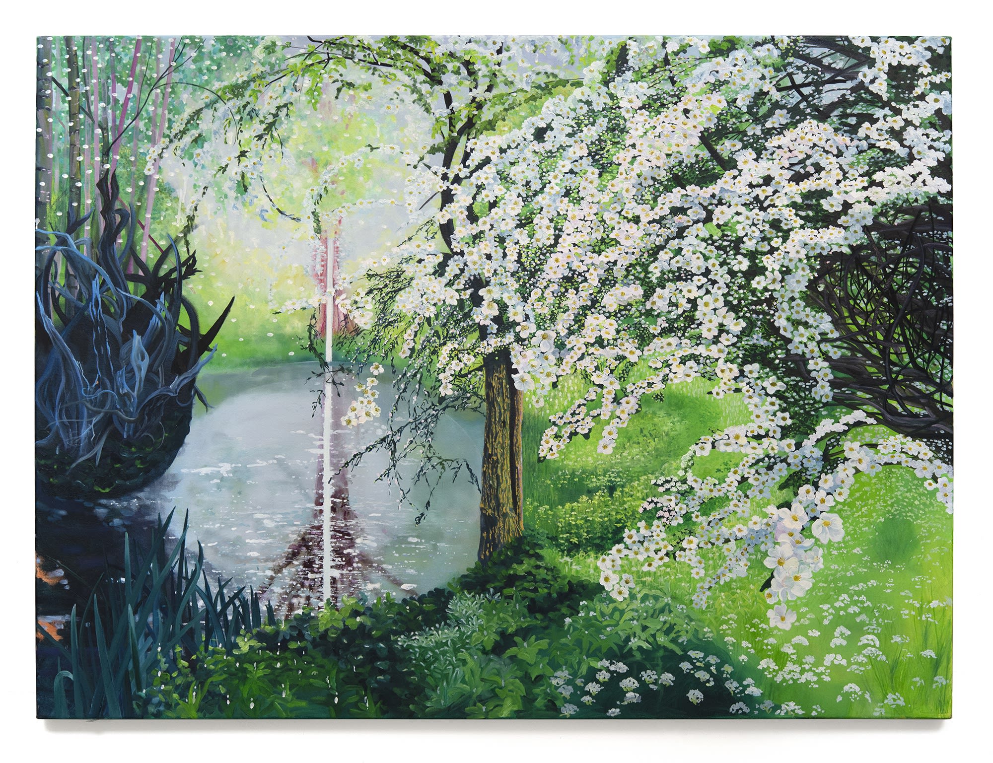 Deena Capparelli Something wants to move, 2022