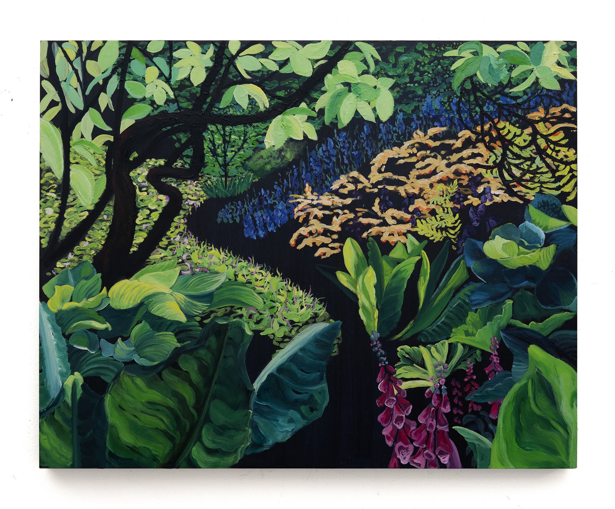 Deena Capparelli Songspirals, 2022