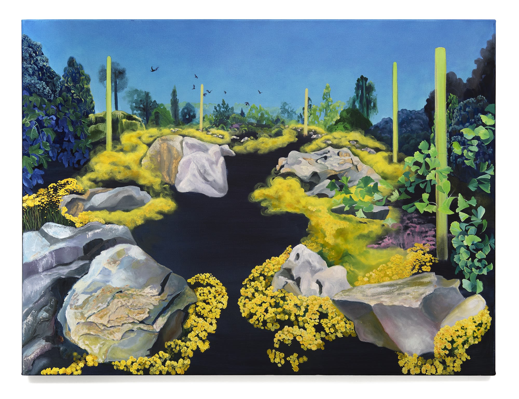 Deena Capparelli Traveled inside birds, 2022