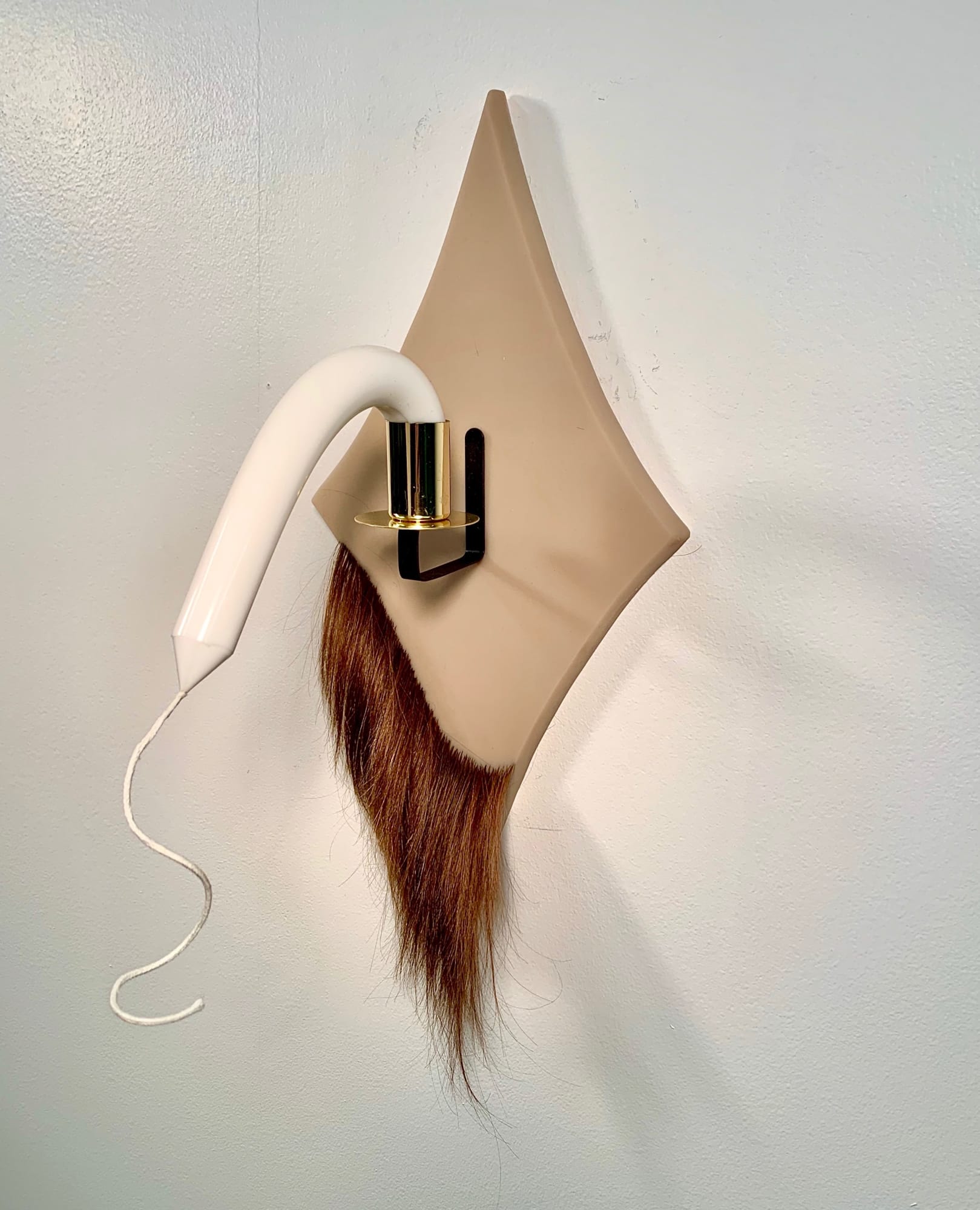 Elizabeth Folk, Donna, 2020