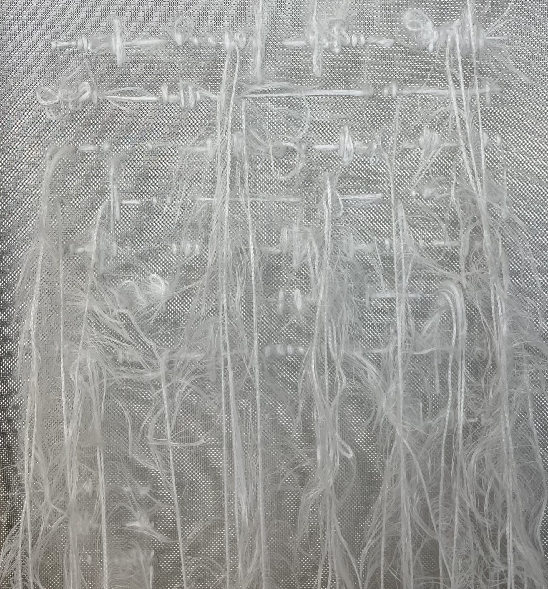 'Ten Days Of Silence' A solo show by Lauren Baker