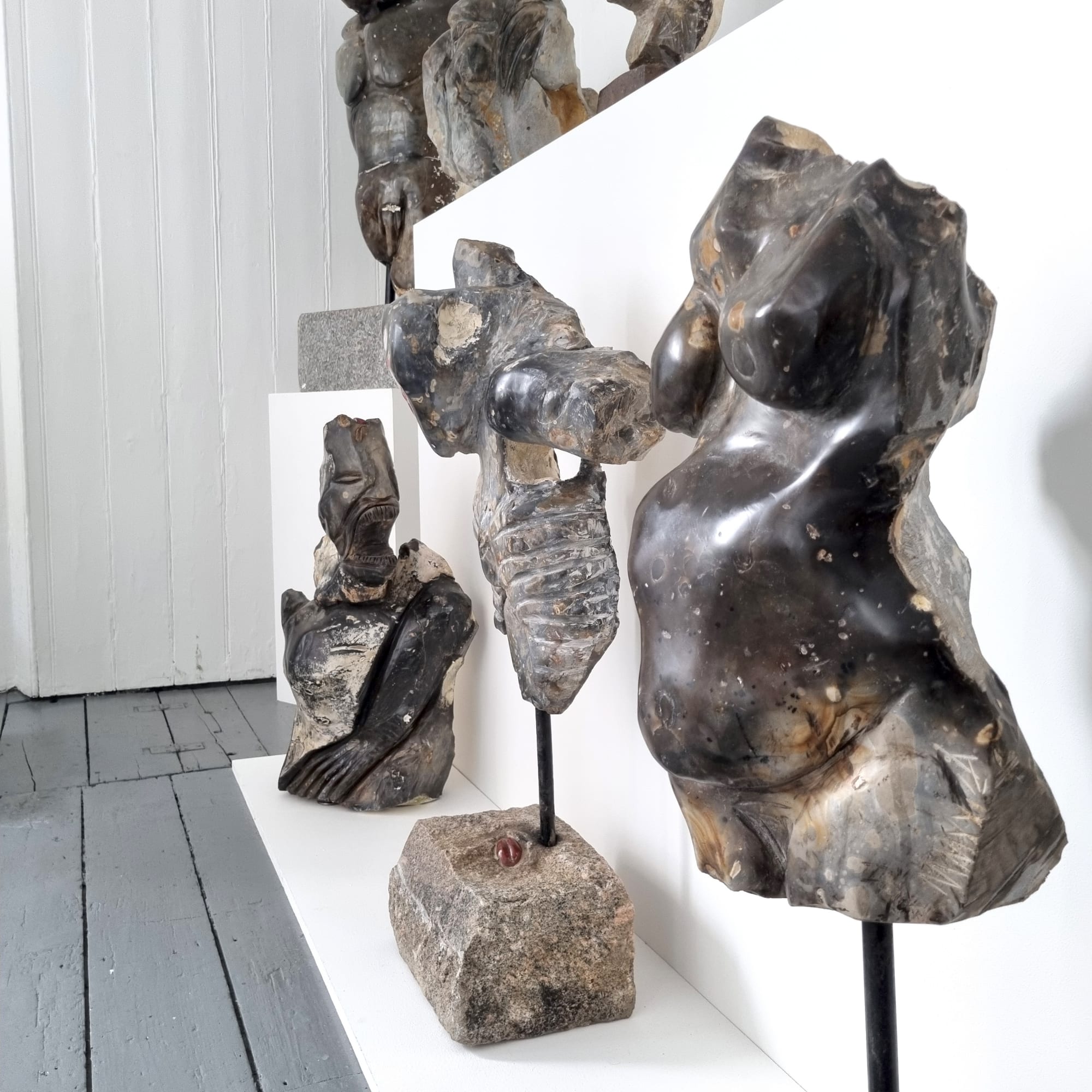 Now you can see the universe