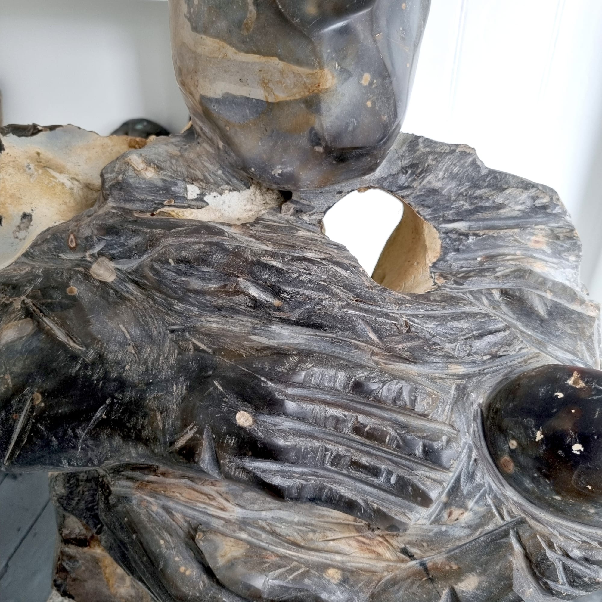 Now you can see the universe