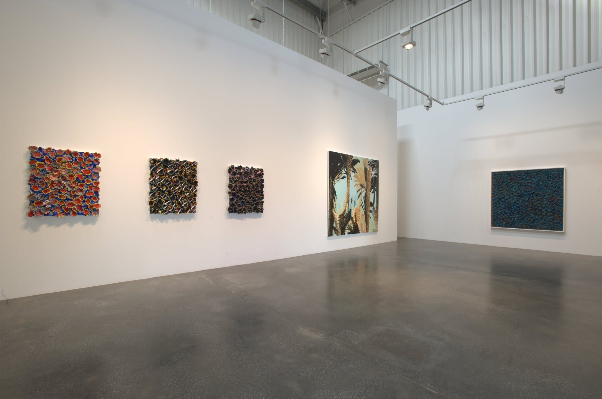 Nabil Nahas, Palms and Stars, Exhibition View