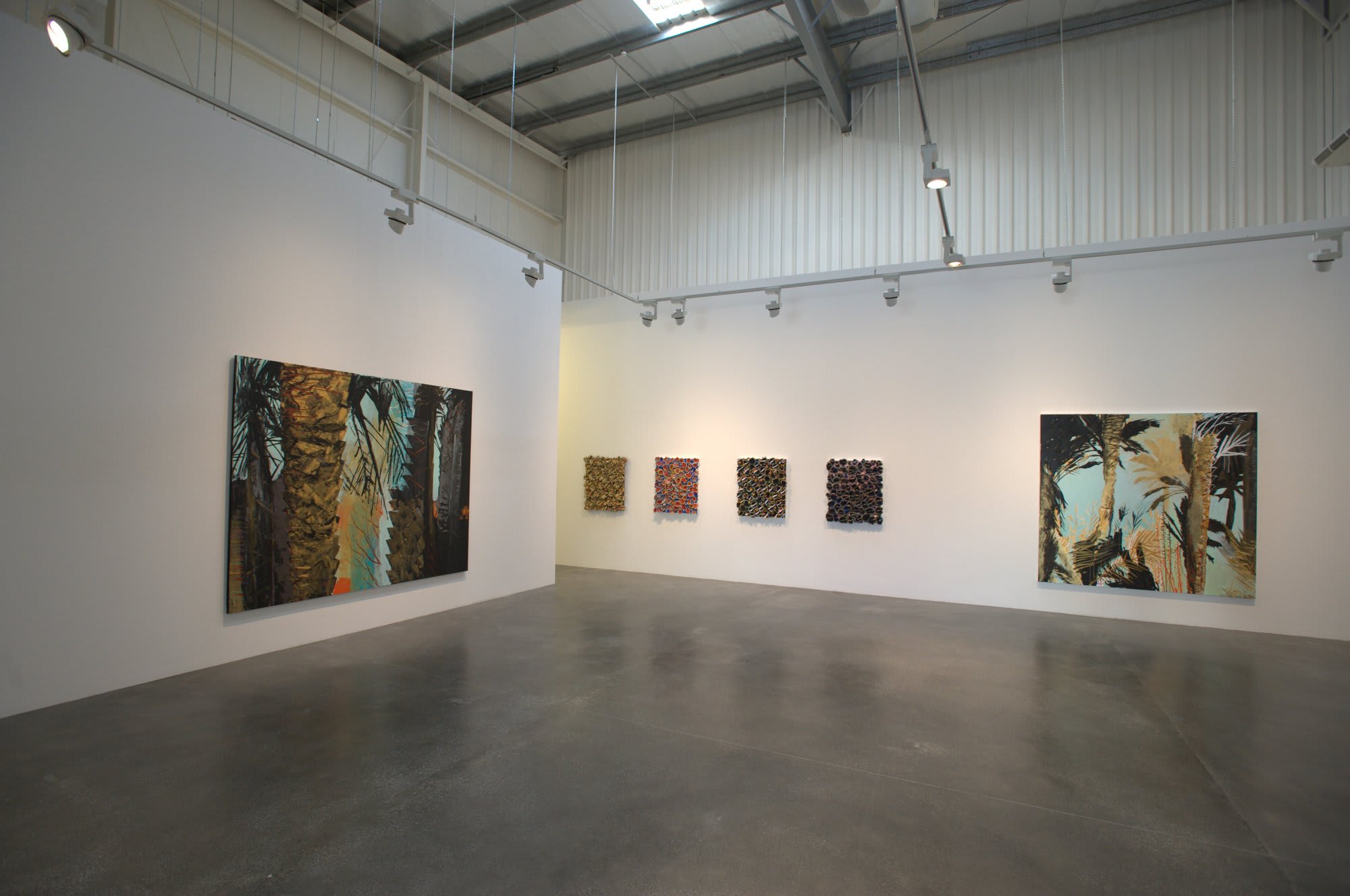 Nabil Nahas, Palms and Stars, Exhibition View