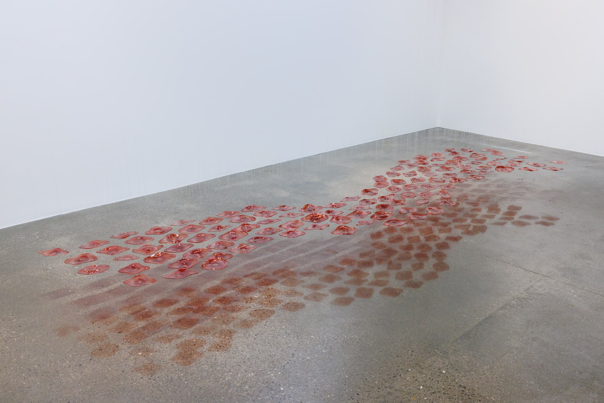 Dima Srouji: 'Charts for a Resurrection'