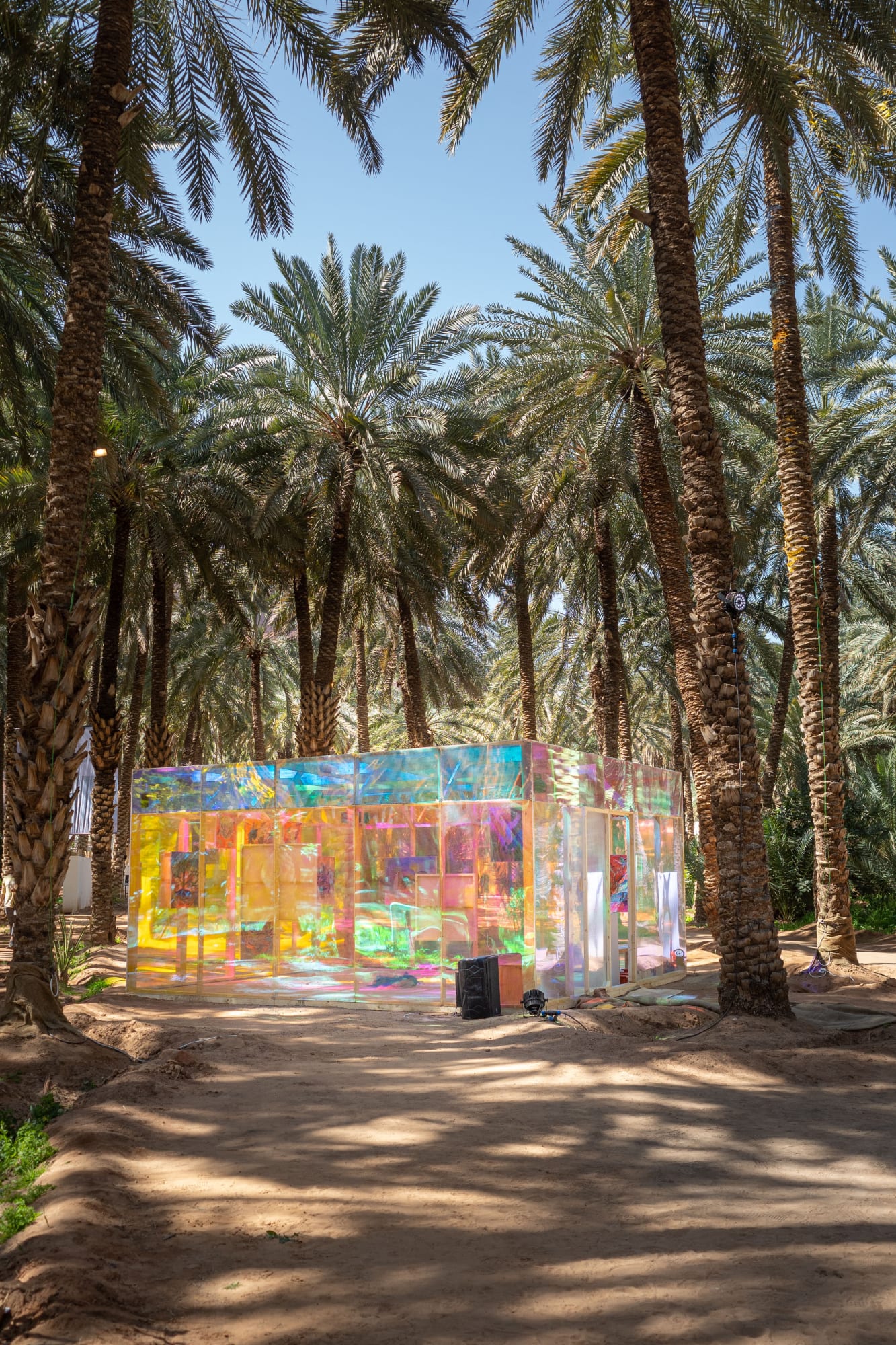 Augustine Paredes | 'The Bitter Taste of Sweetness', AlUla, Saudi Arabia