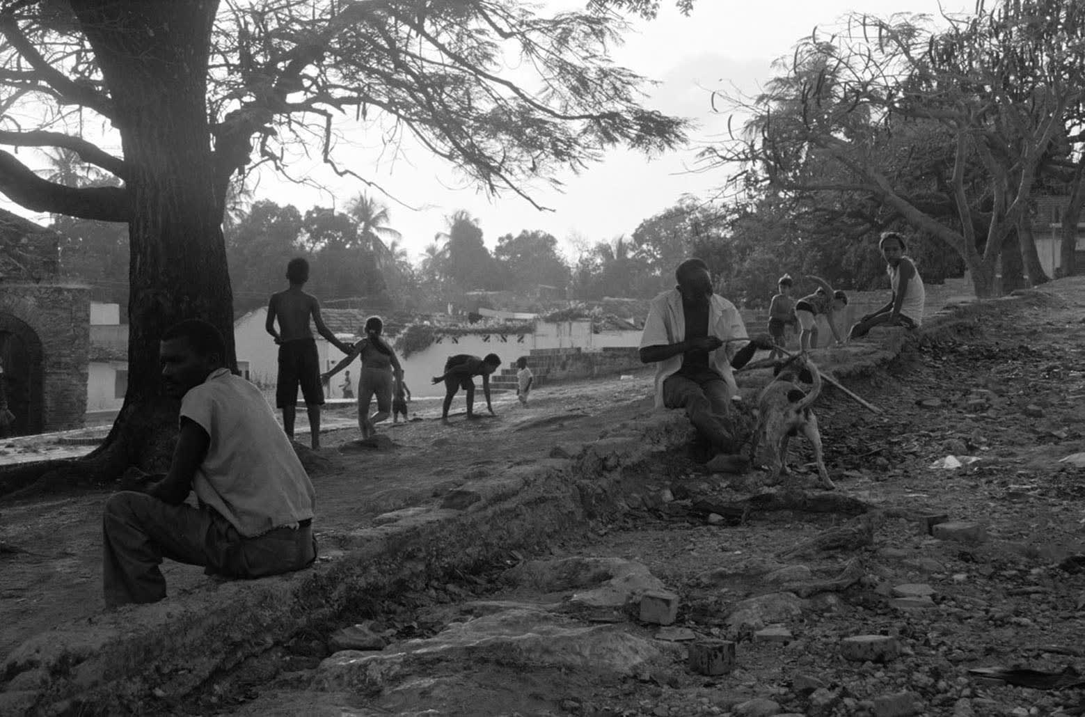 Cuba is Alive, Innocence, 2005