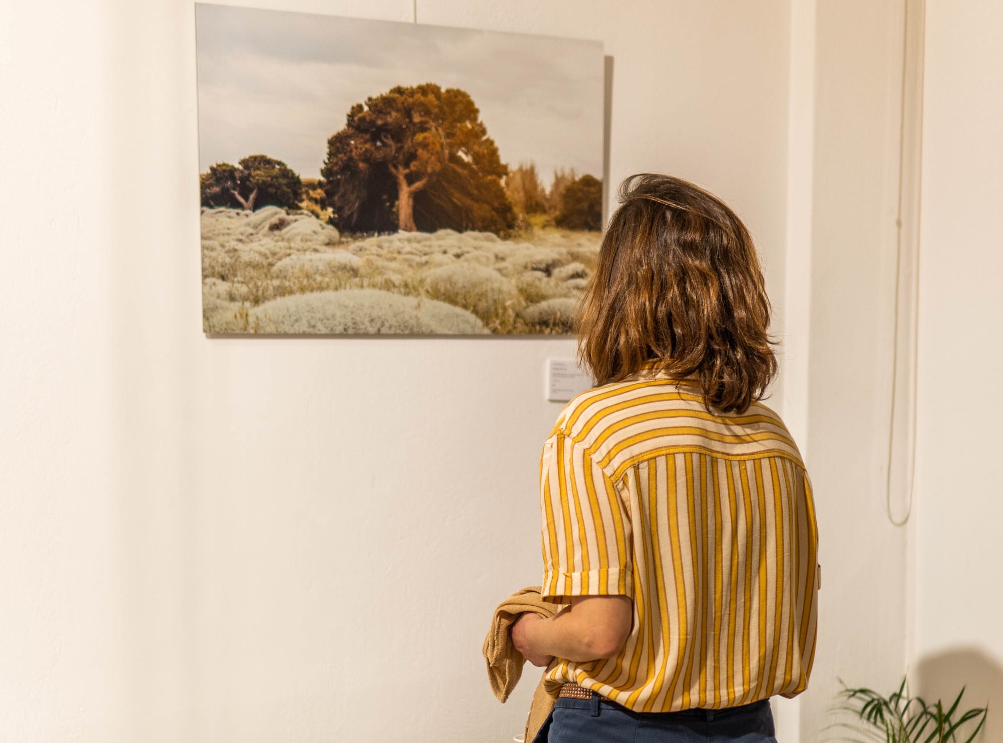 Photobook presentation & Exhibition