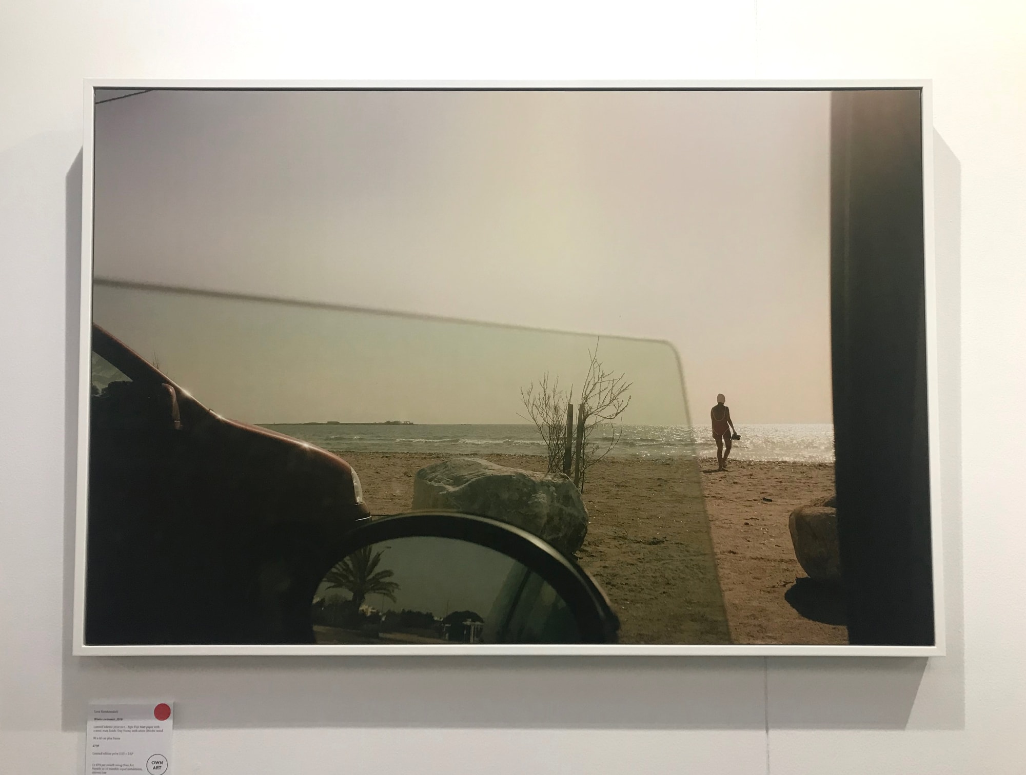 Winter swimmer, 2018