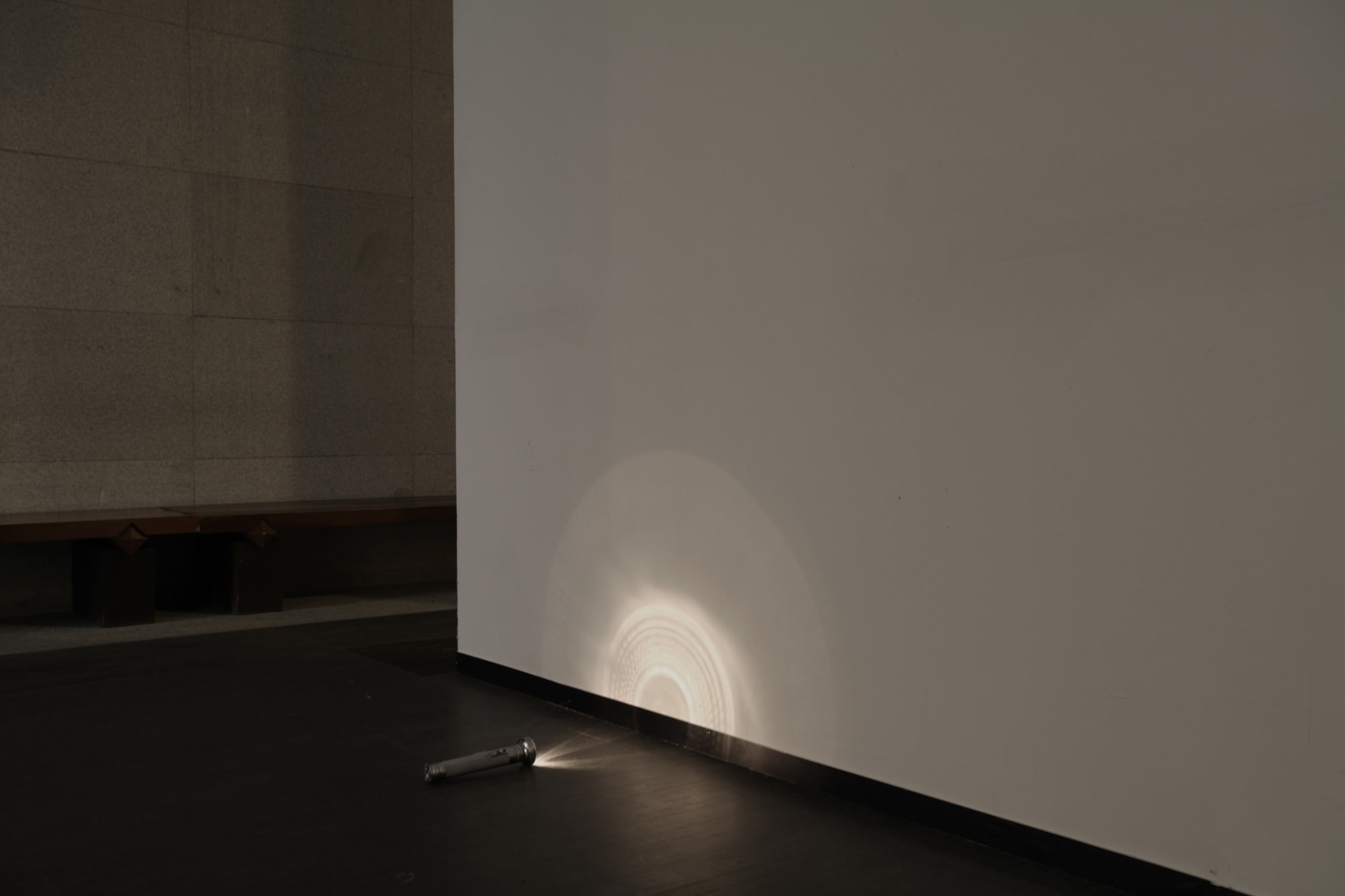 Jiang Zhi 蒋志, The God of the Small Things 微物之神, 2012