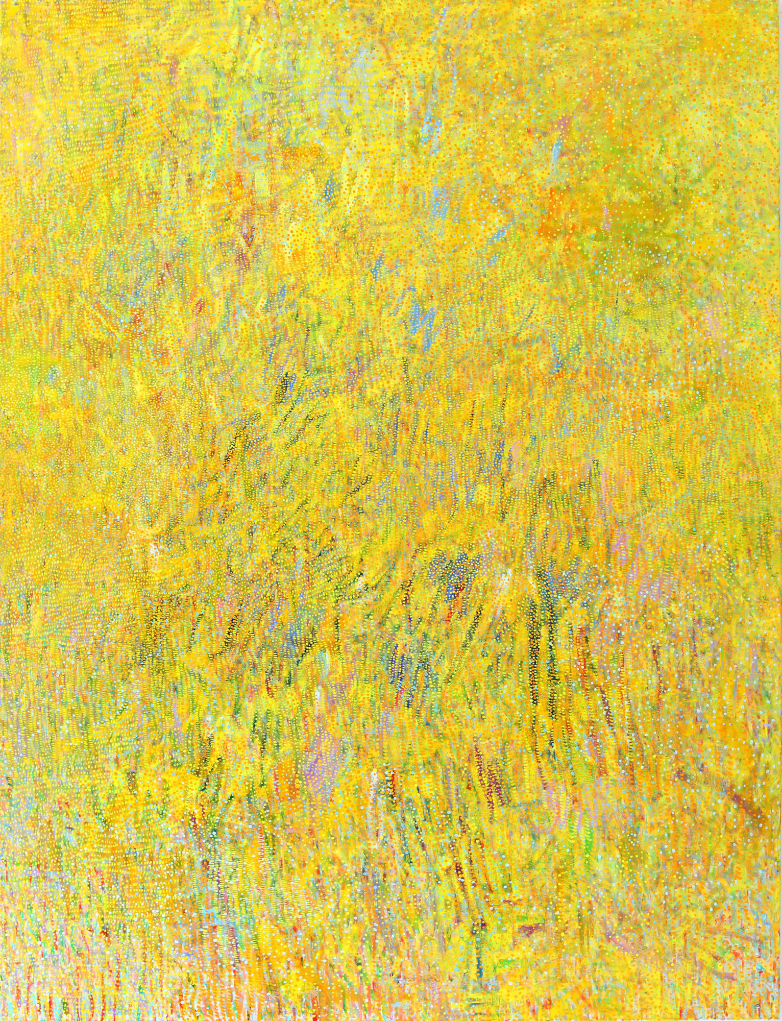 Kai Chen: Love, Pride, Deep-fried Chicken