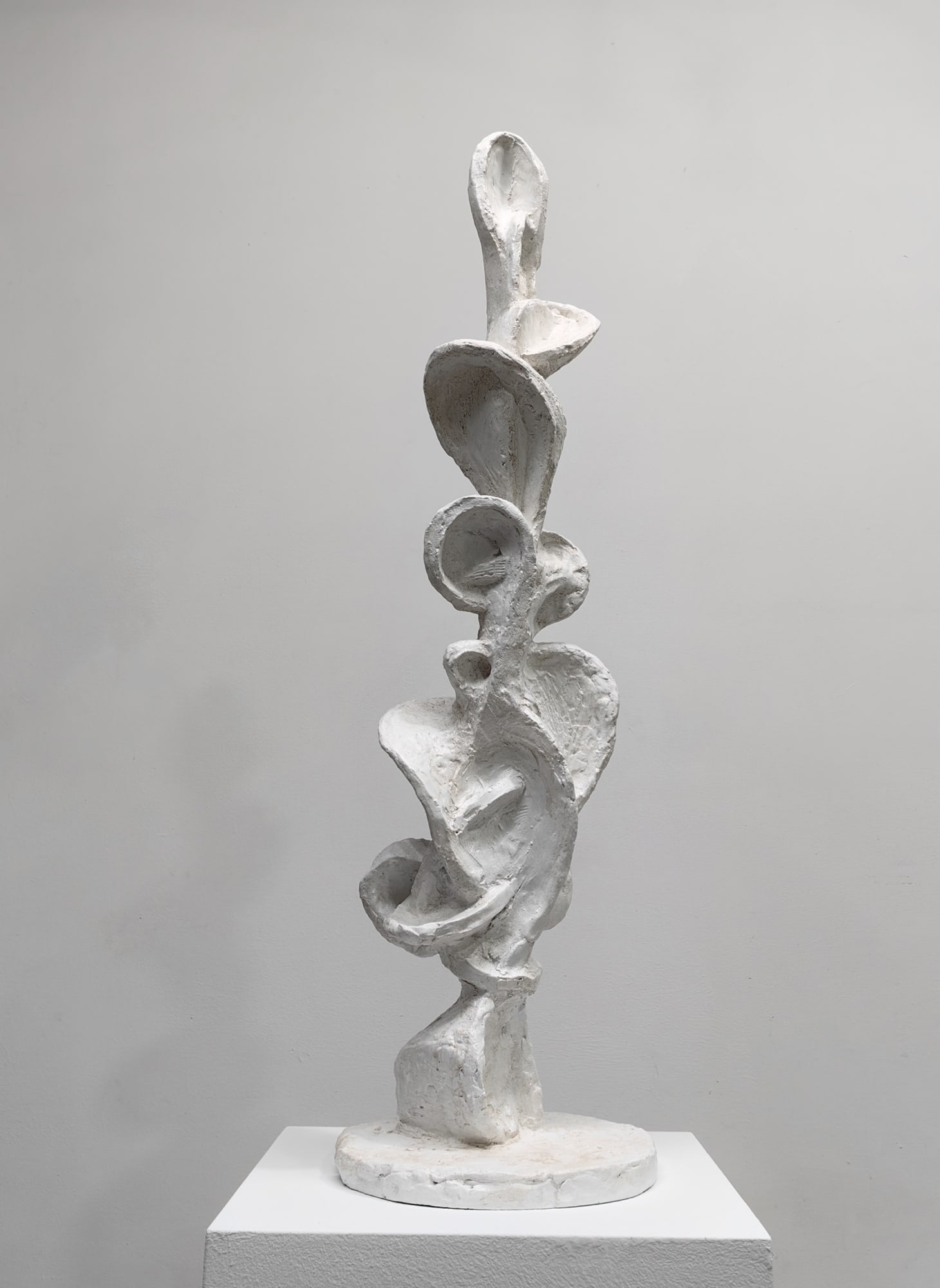 Zhang Ning 张宁 The Growth of Narcissus 2 那喀索斯的生长之 二, 2024