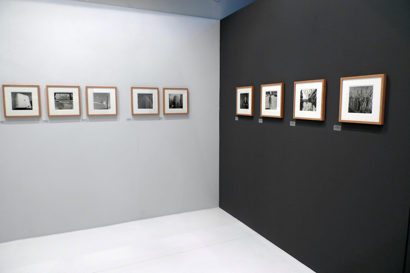 Steve Rifkin, Au fil du temps