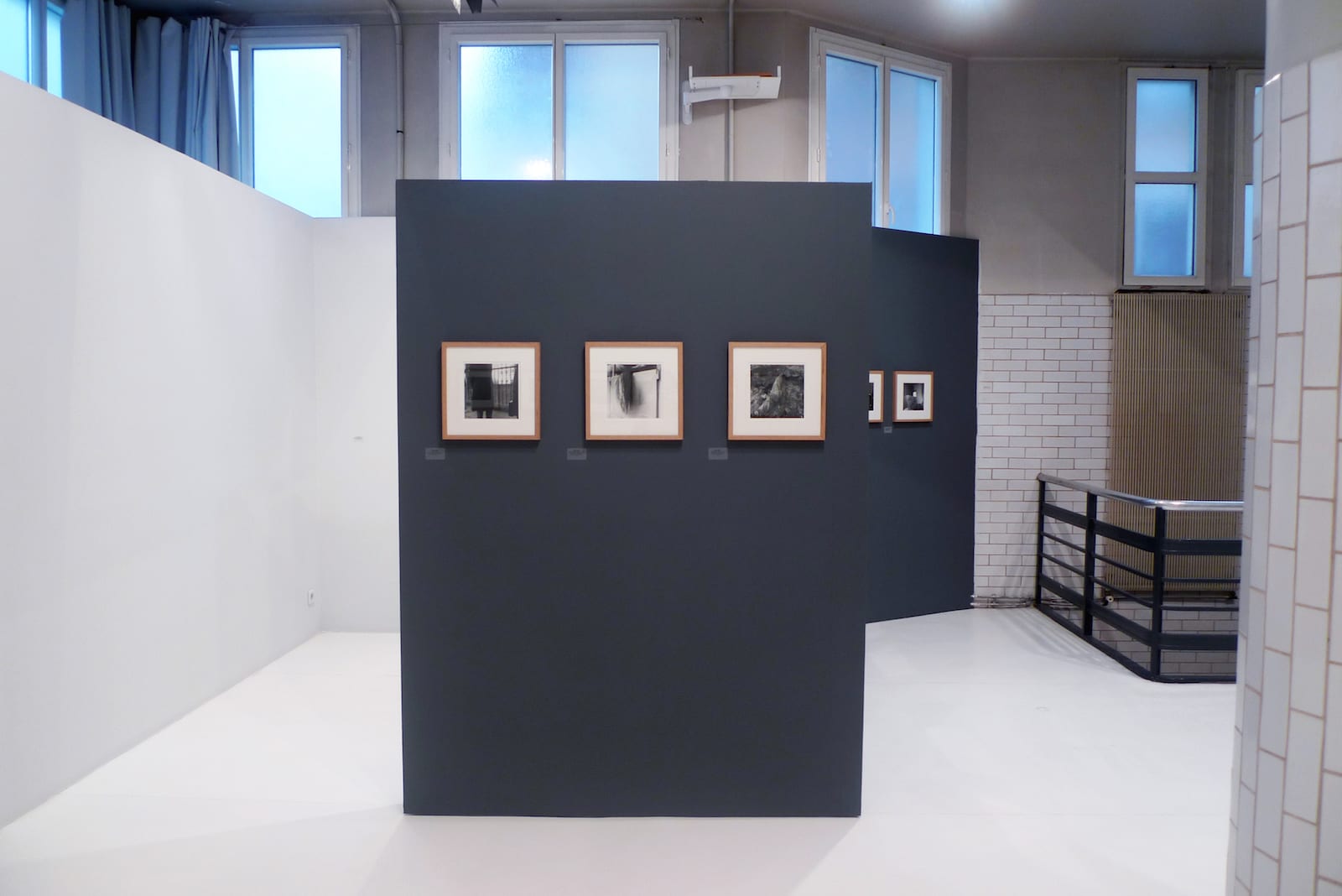 Steve Rifkin, Au fil du temps