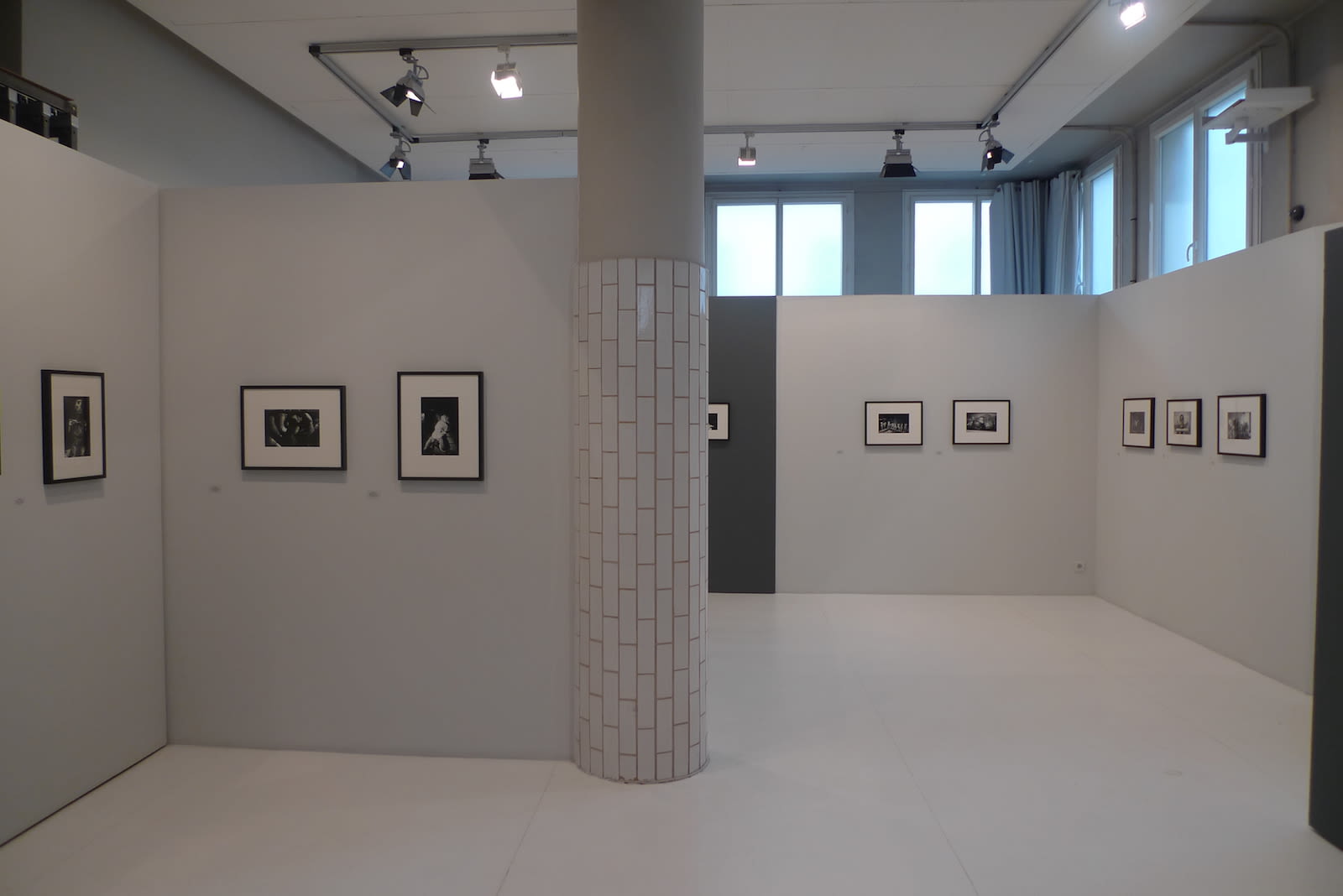 Hervé Guibert, Les palais des monstres désirables