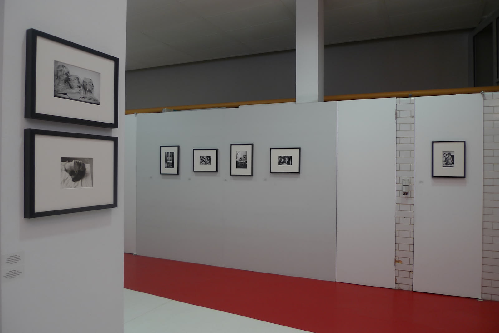 Hervé Guibert, Les palais des monstres désirables