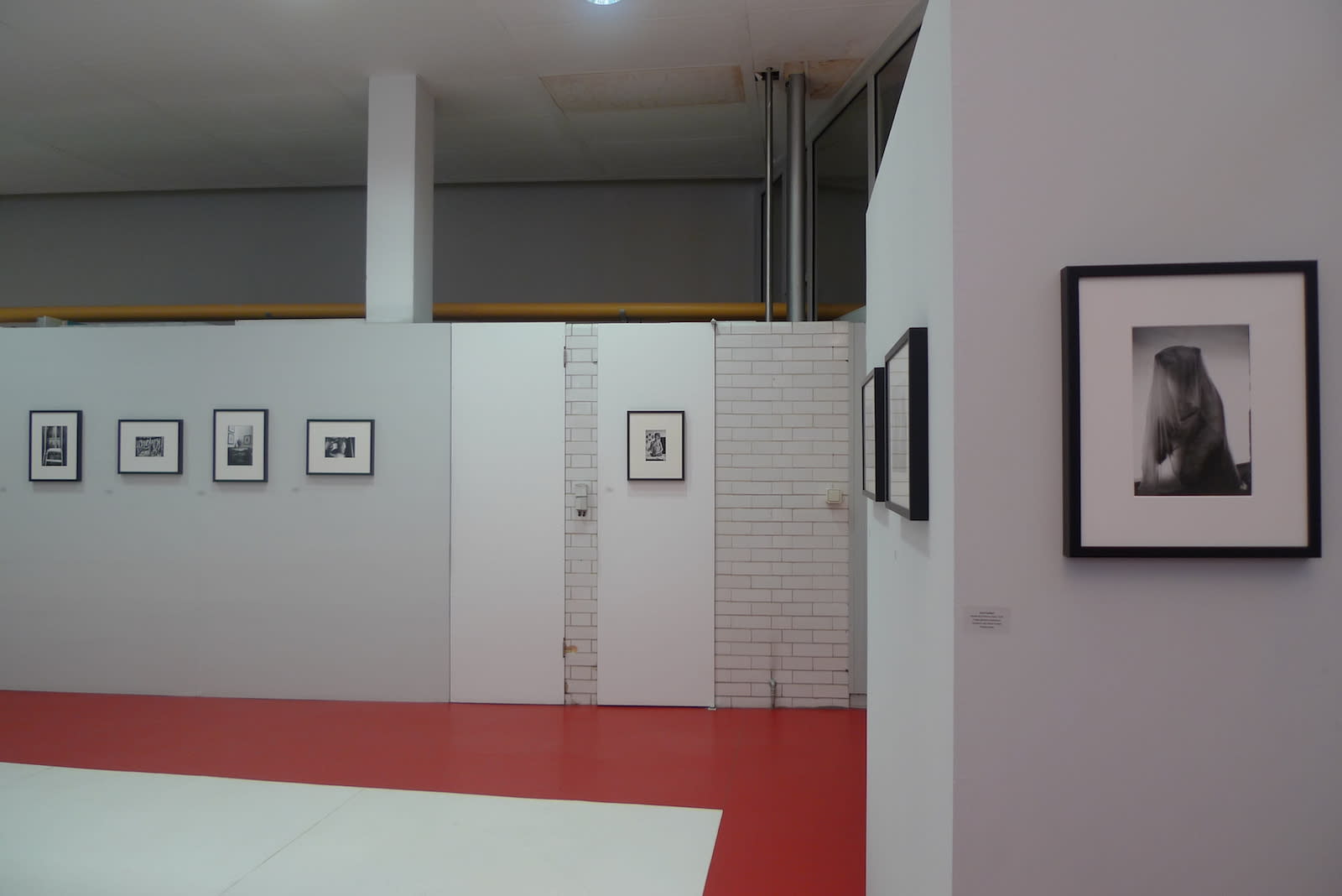 Hervé Guibert, Les palais des monstres désirables