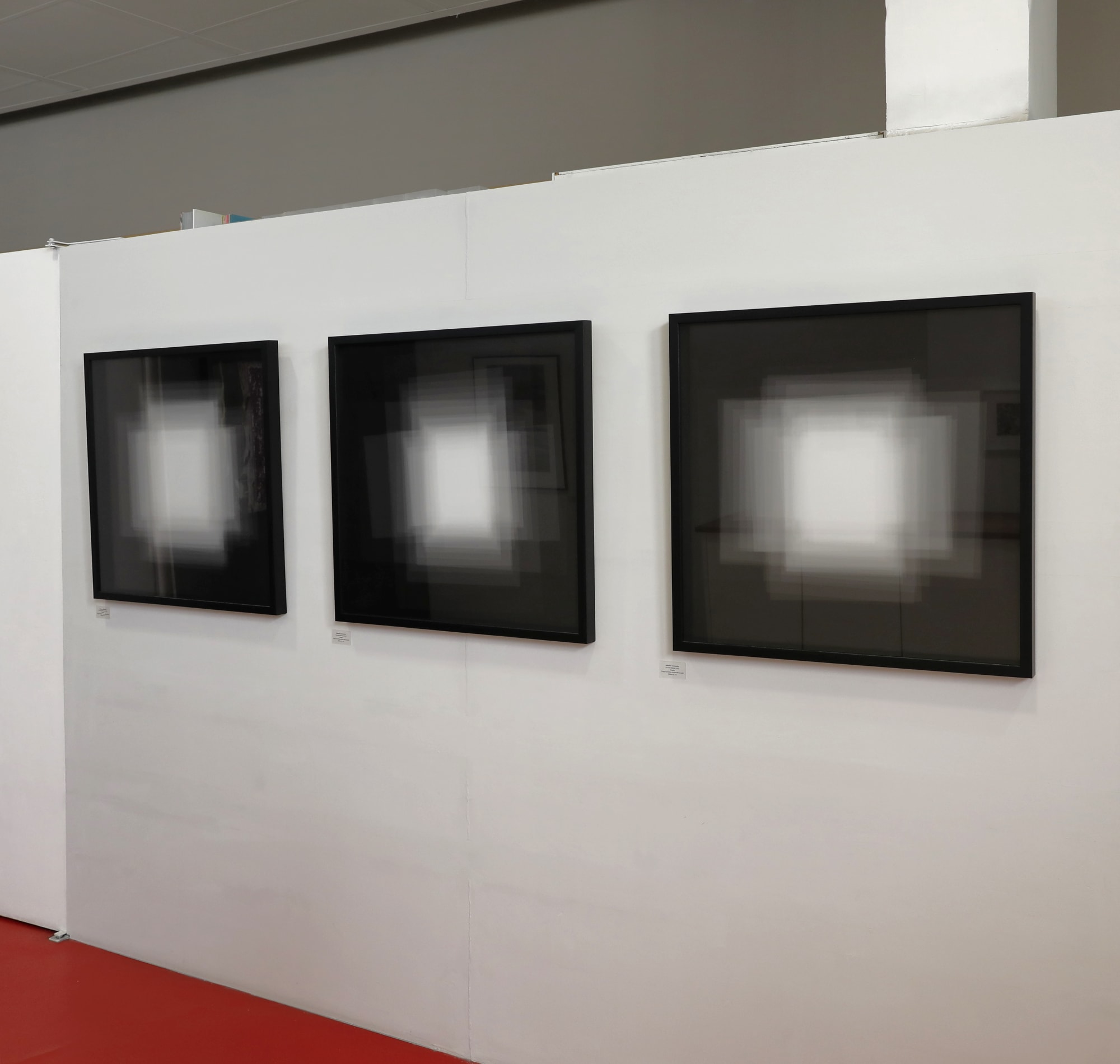 Les coups de cœur de l'équipe