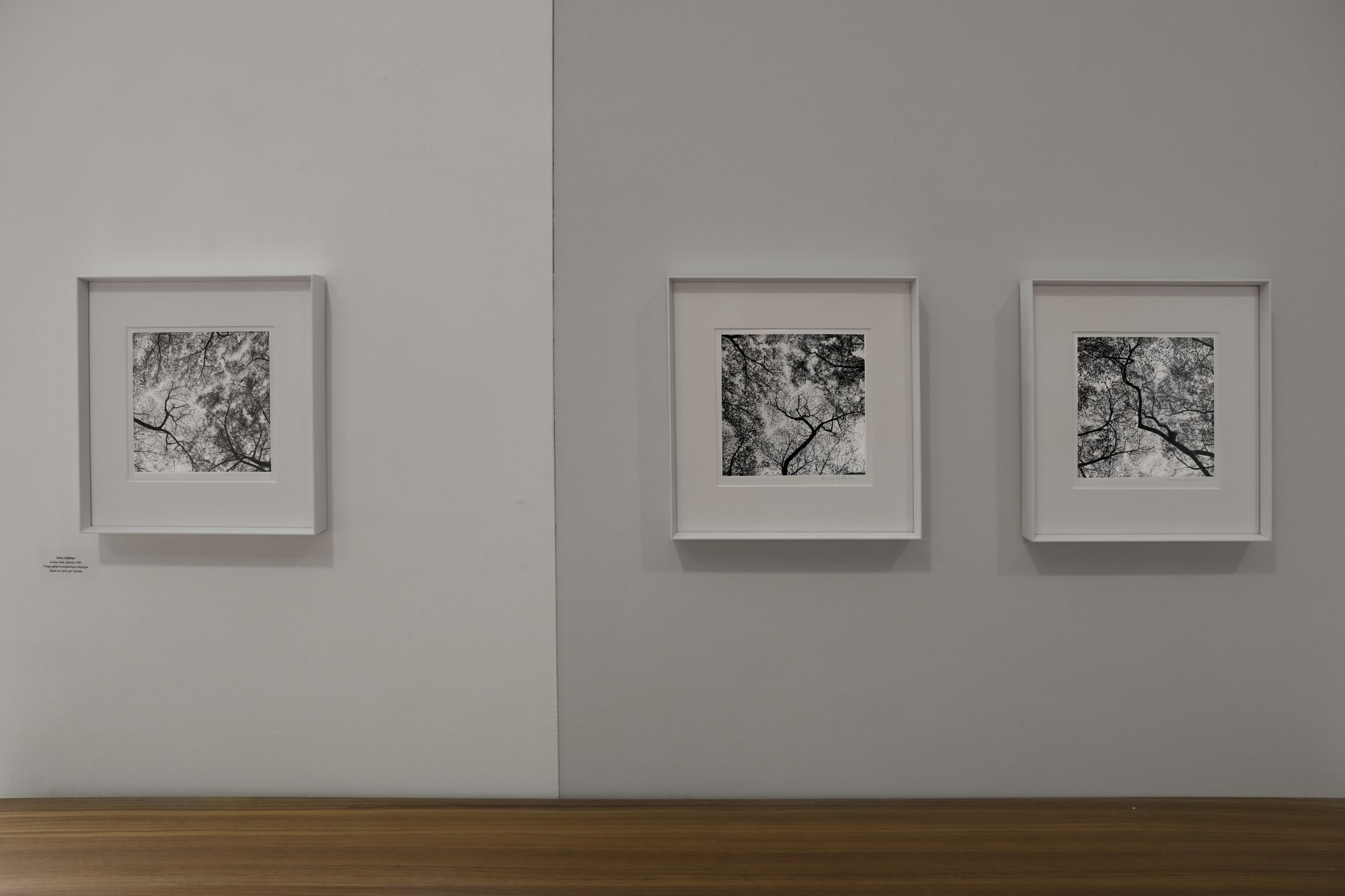 Les coups de cœur de l'équipe