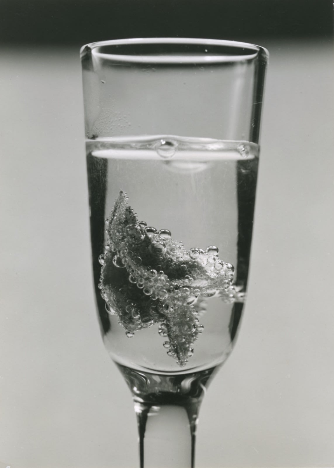 Le calendrier de l'Avent des Douches