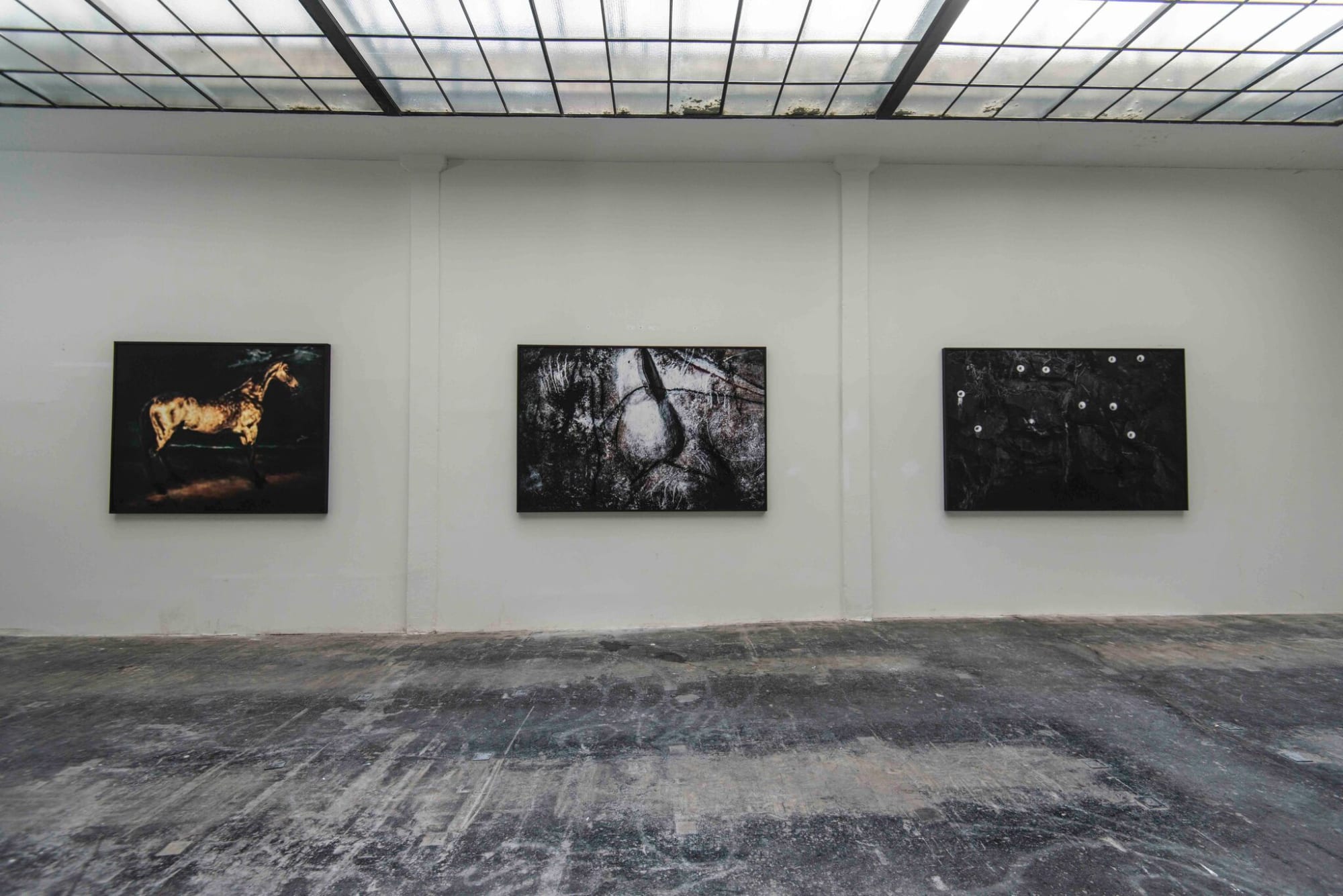 Sofia Borges | Revision