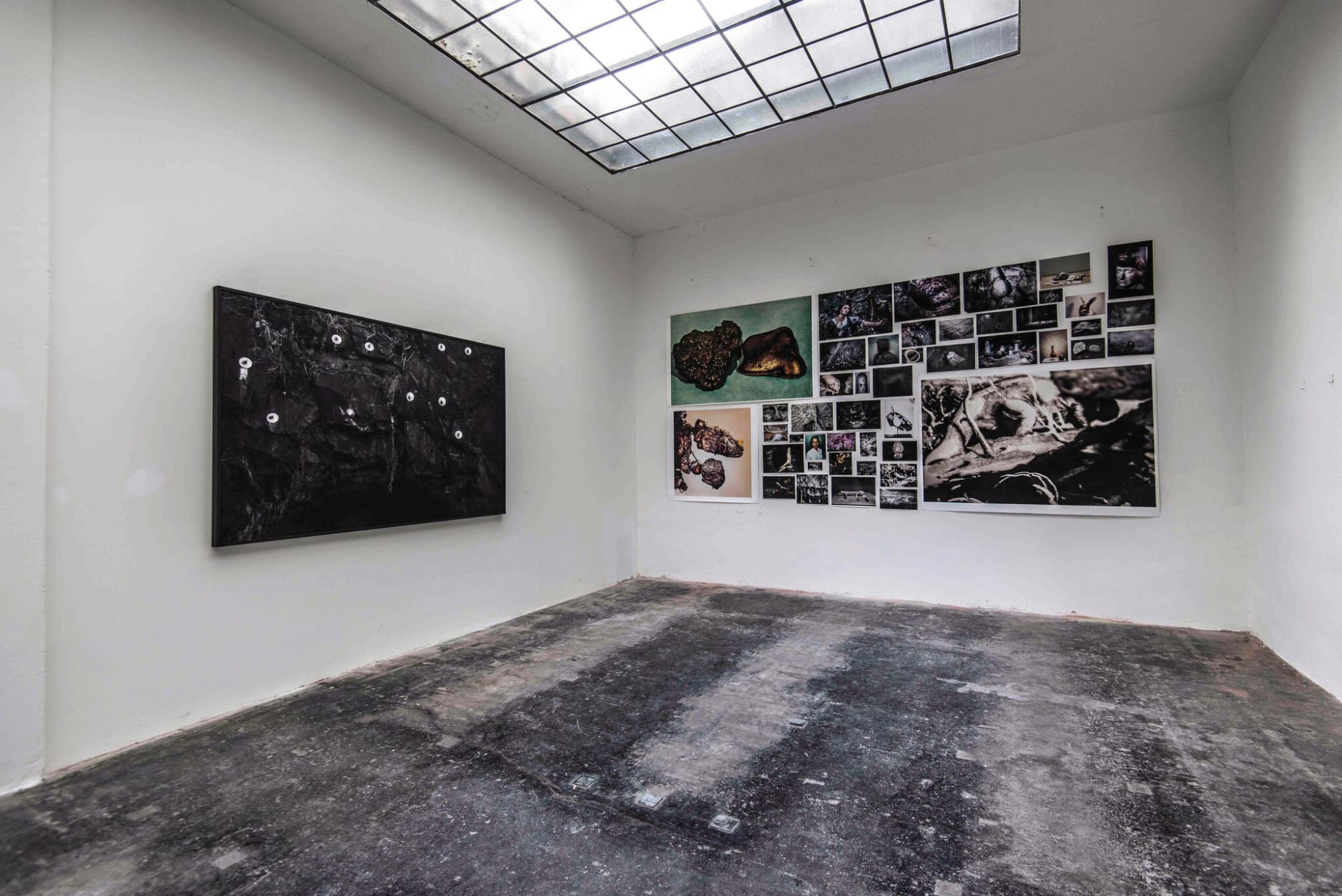 Sofia Borges | Revision