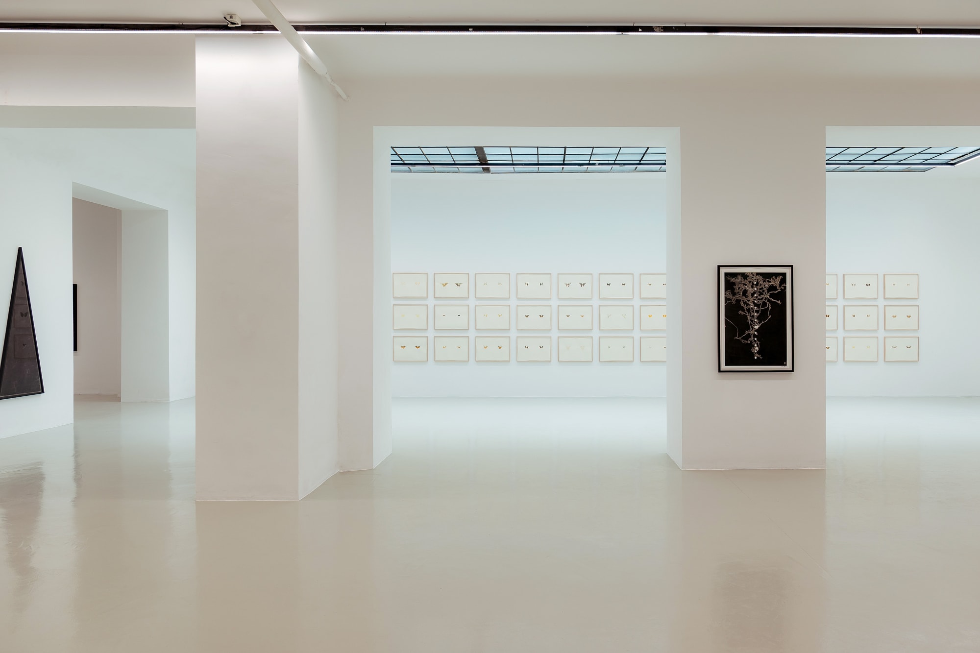 Maximilian Prüfer | Brut