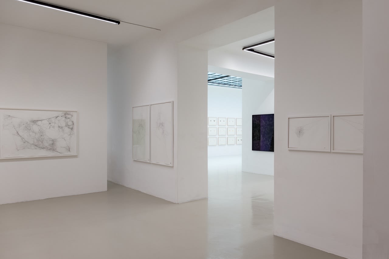 Maximilian Prüfer | Brut