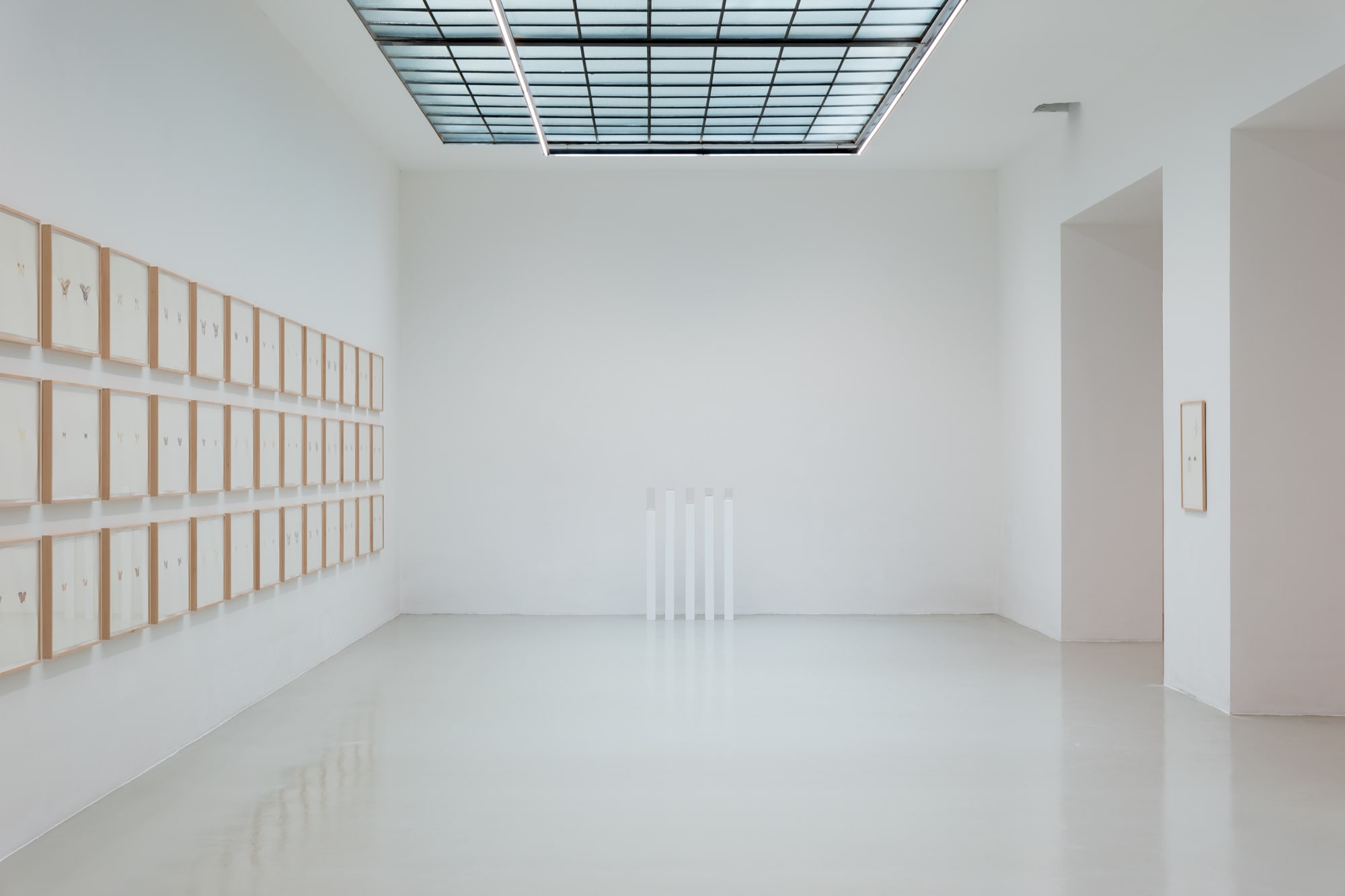 Maximilian Prüfer | Brut