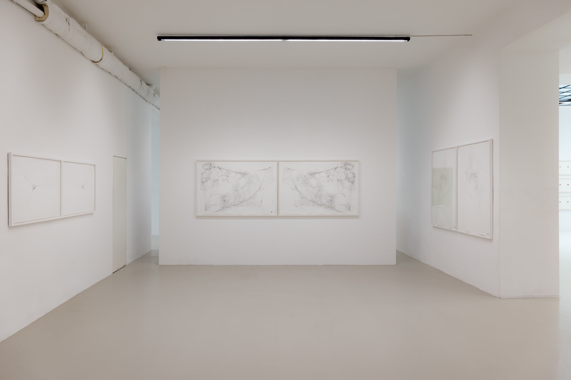 Maximilian Prüfer | Brut