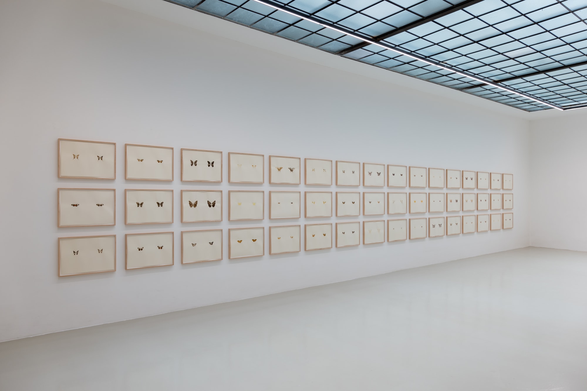 Maximilian Prüfer | Brut