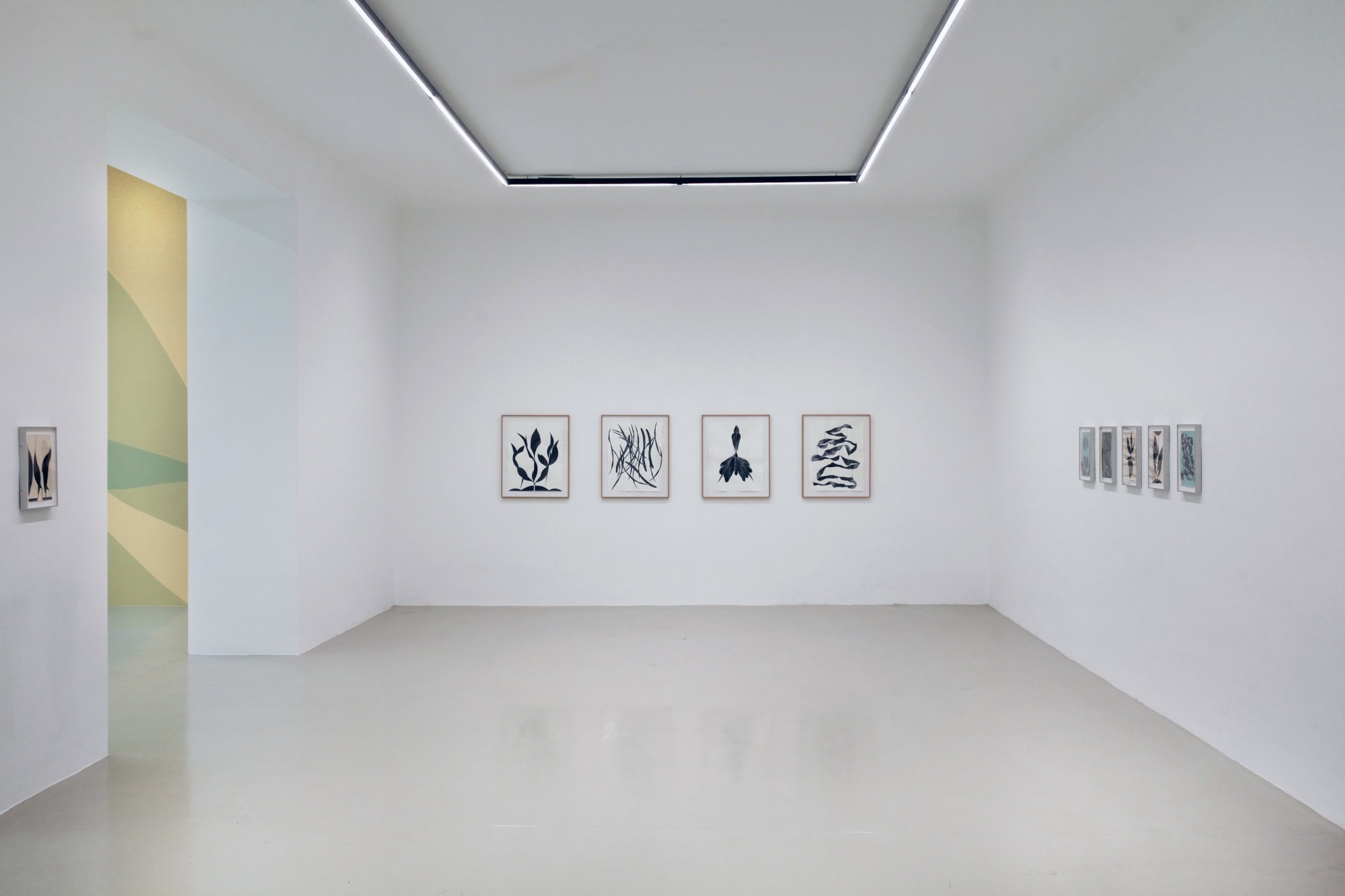 Frauke Dannert | Folie [fɔli]