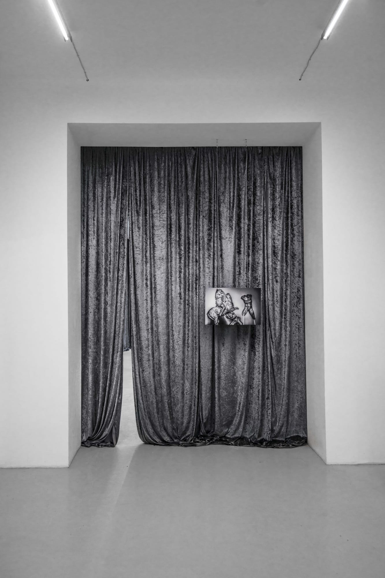 Sofia Borges | it was a white and blazing blind fire