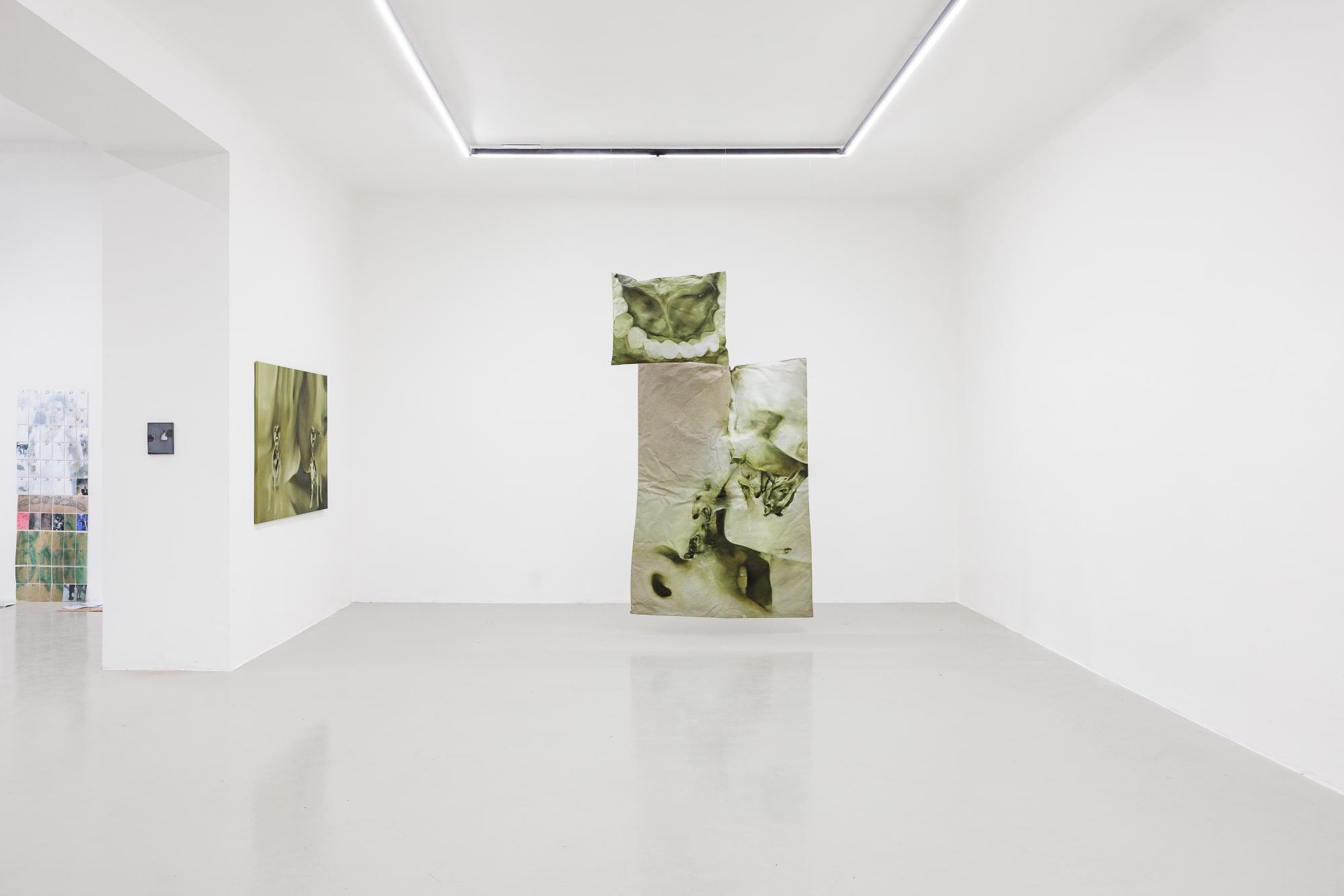 Installation View: Systems of Subversion: Paulina Aumayr, Allen-Golder Carpenter, Thomas Supper, 2025