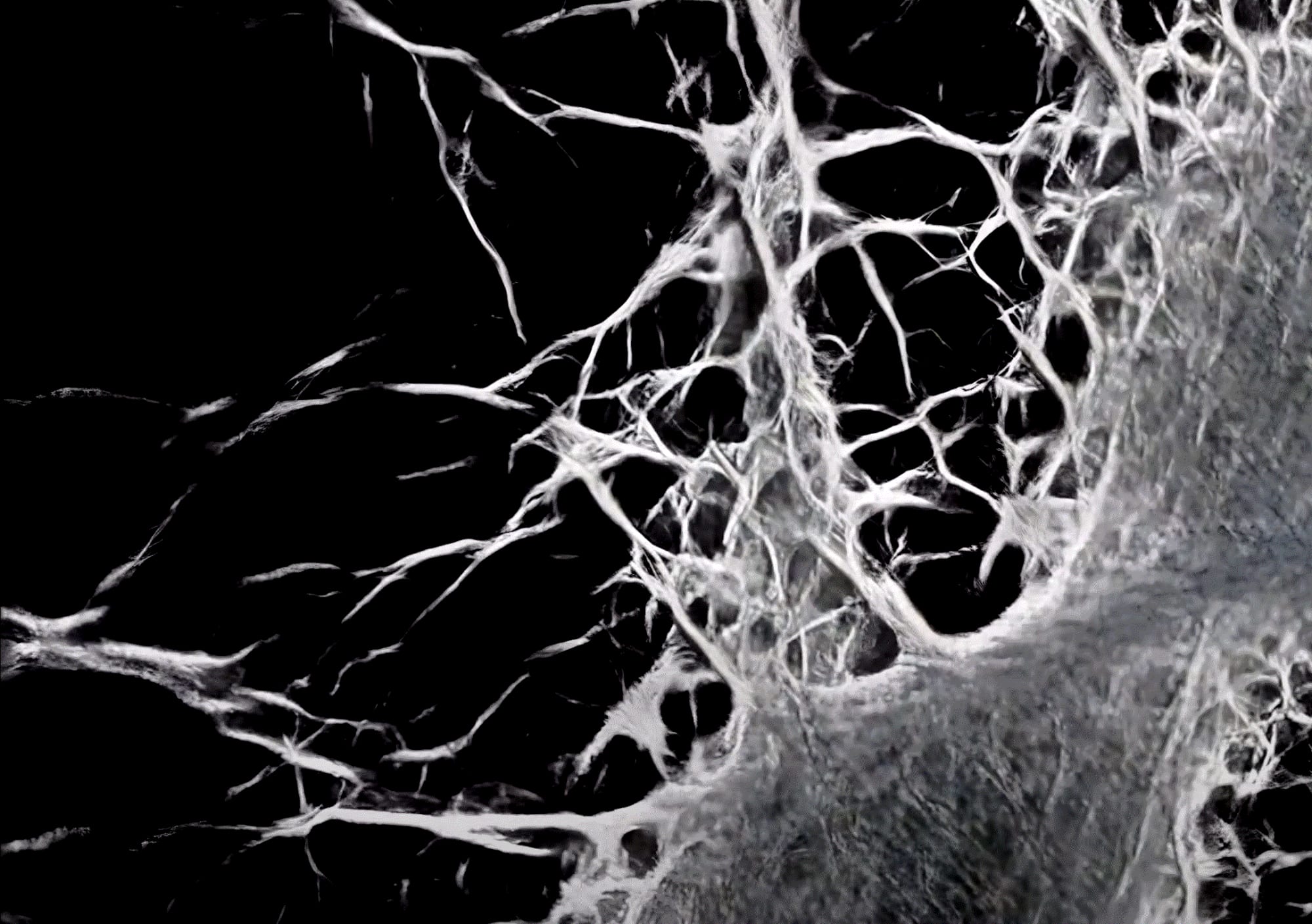 Davide Bernardis I Materia