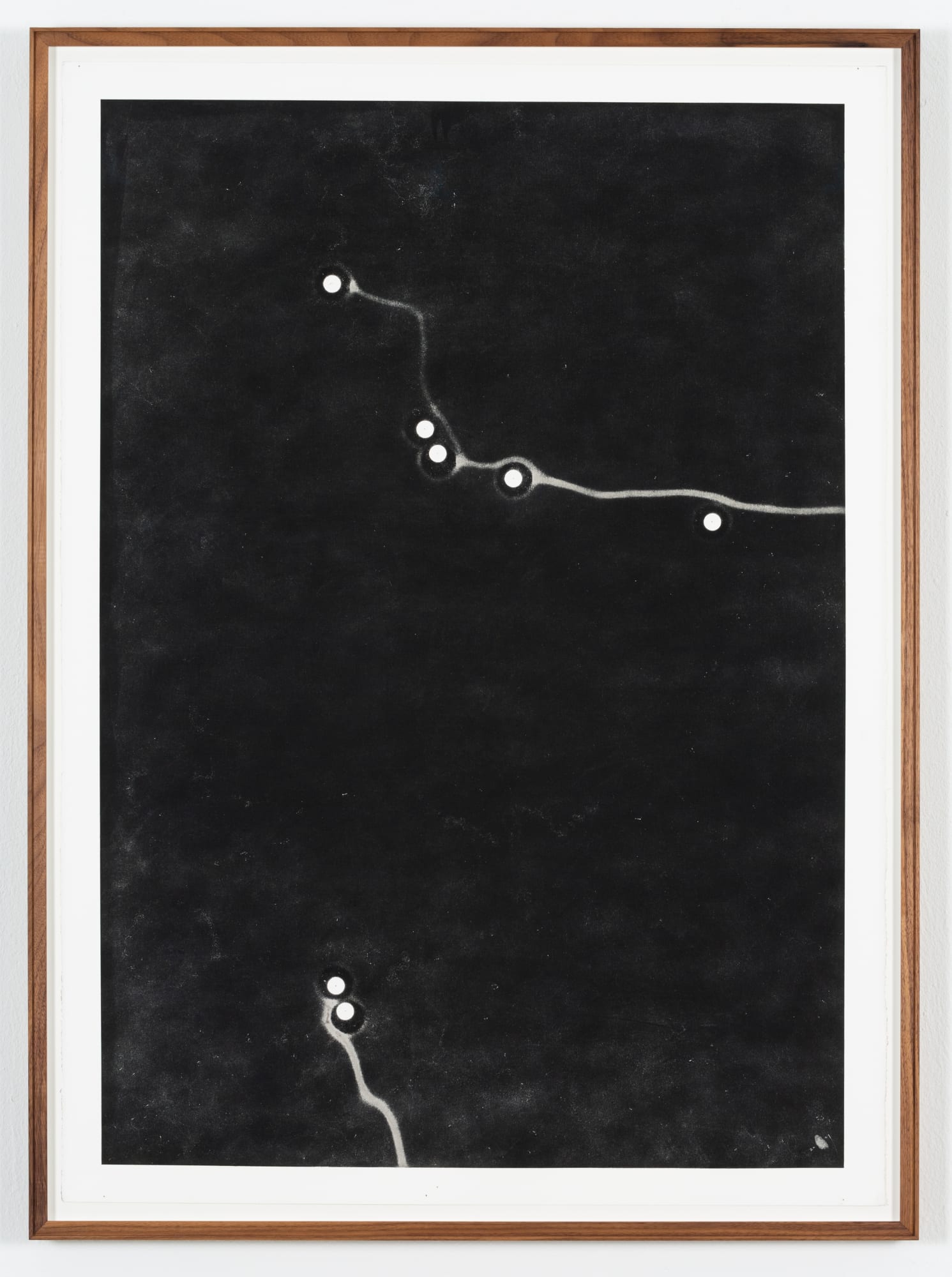 Maximilian Pr&uuml;fer Forming Thoughts, 2020 Naturantypie and Paper 82 x 111 cm