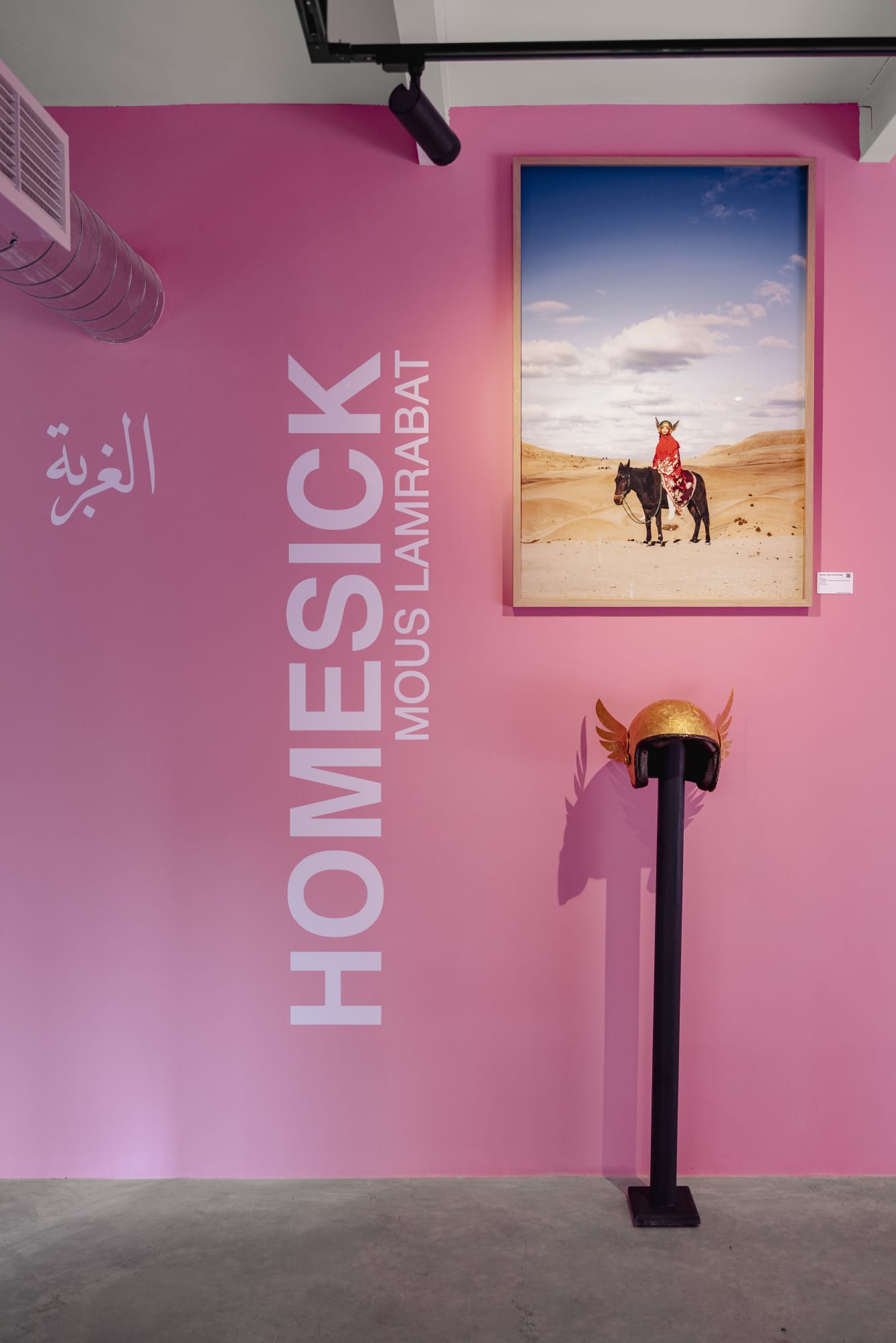 Solo Show I Mous Lamrabt I Homesick